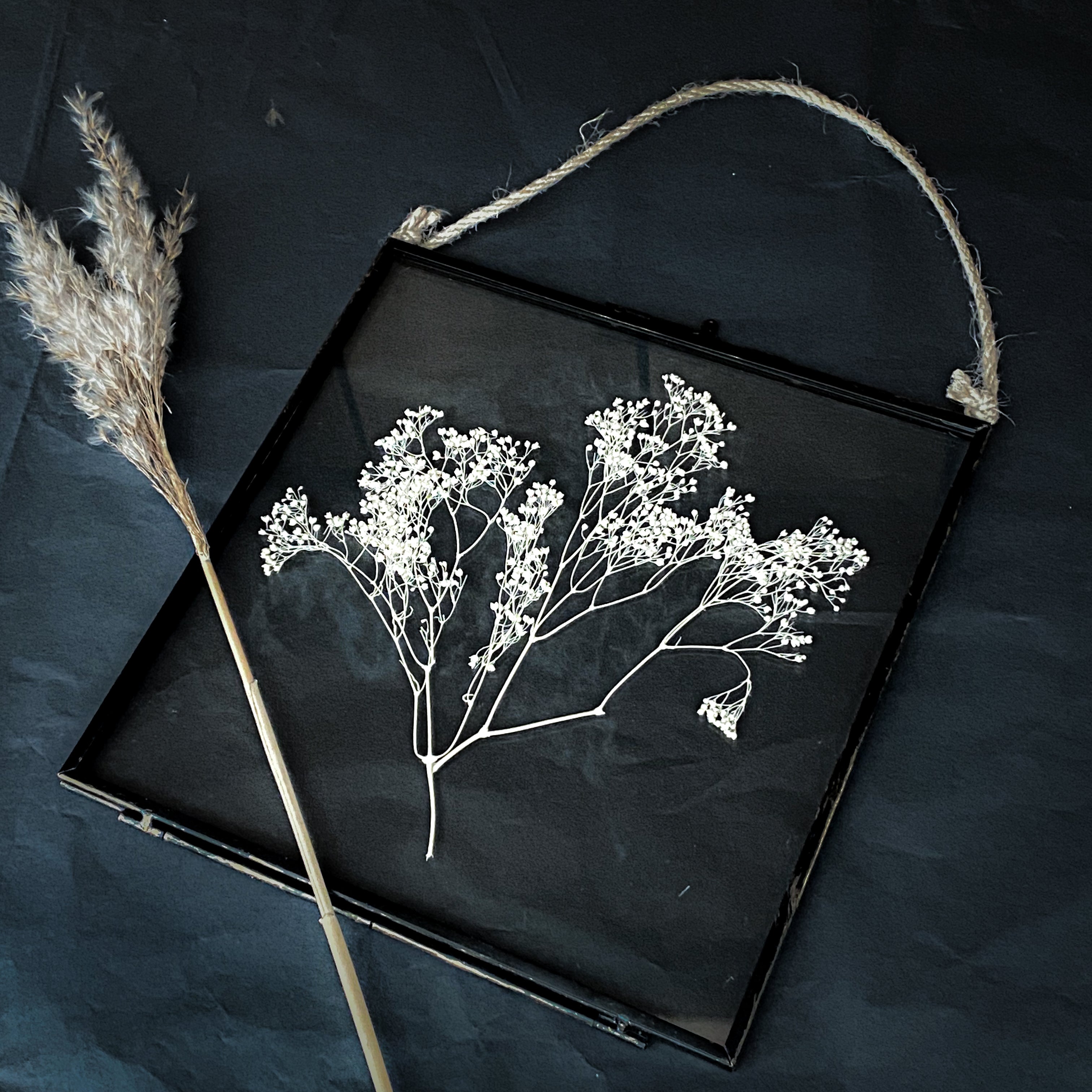 Black Antique Pressed Flower Frame: Dried Gypsophila - Large