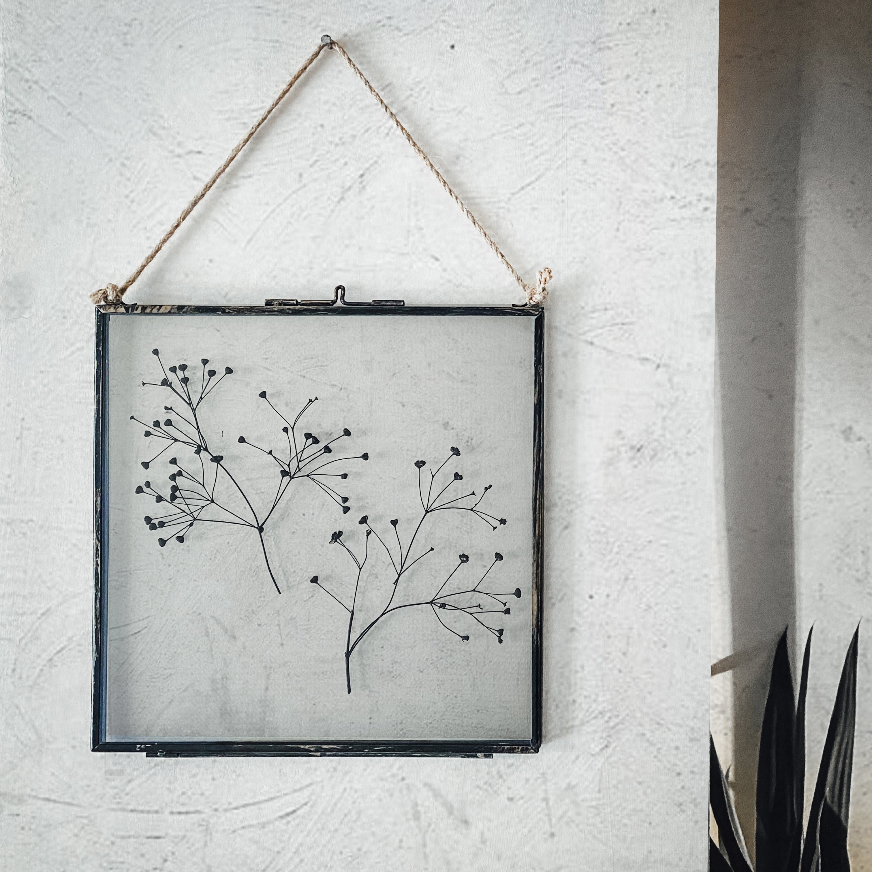 Black Antique Pressed Flower Frame: Dried Massasa - Large