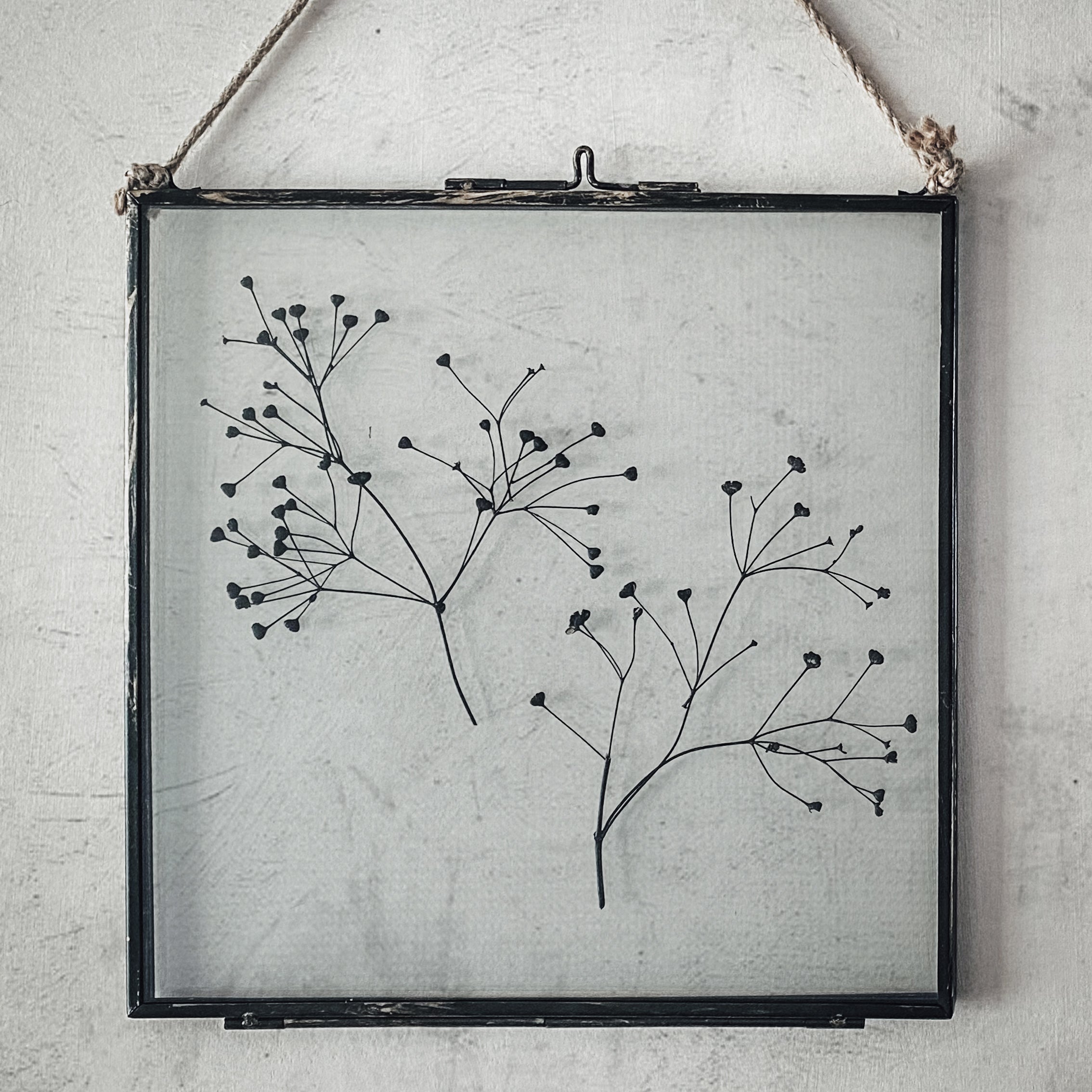 Black Antique Pressed Flower Frame: Dried Massasa - Large