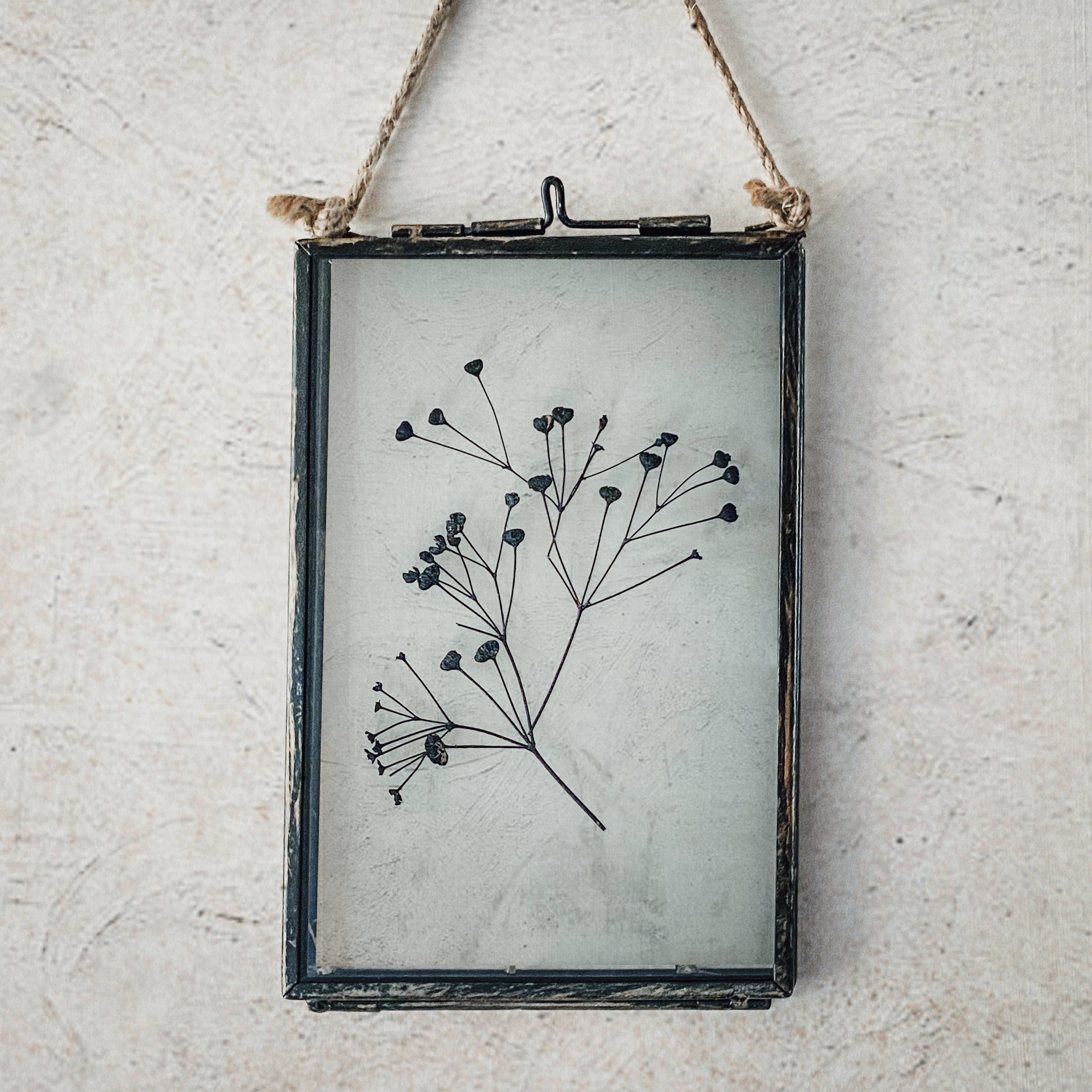 Black Antique Pressed Flower Frame: Dried Massasa - Small