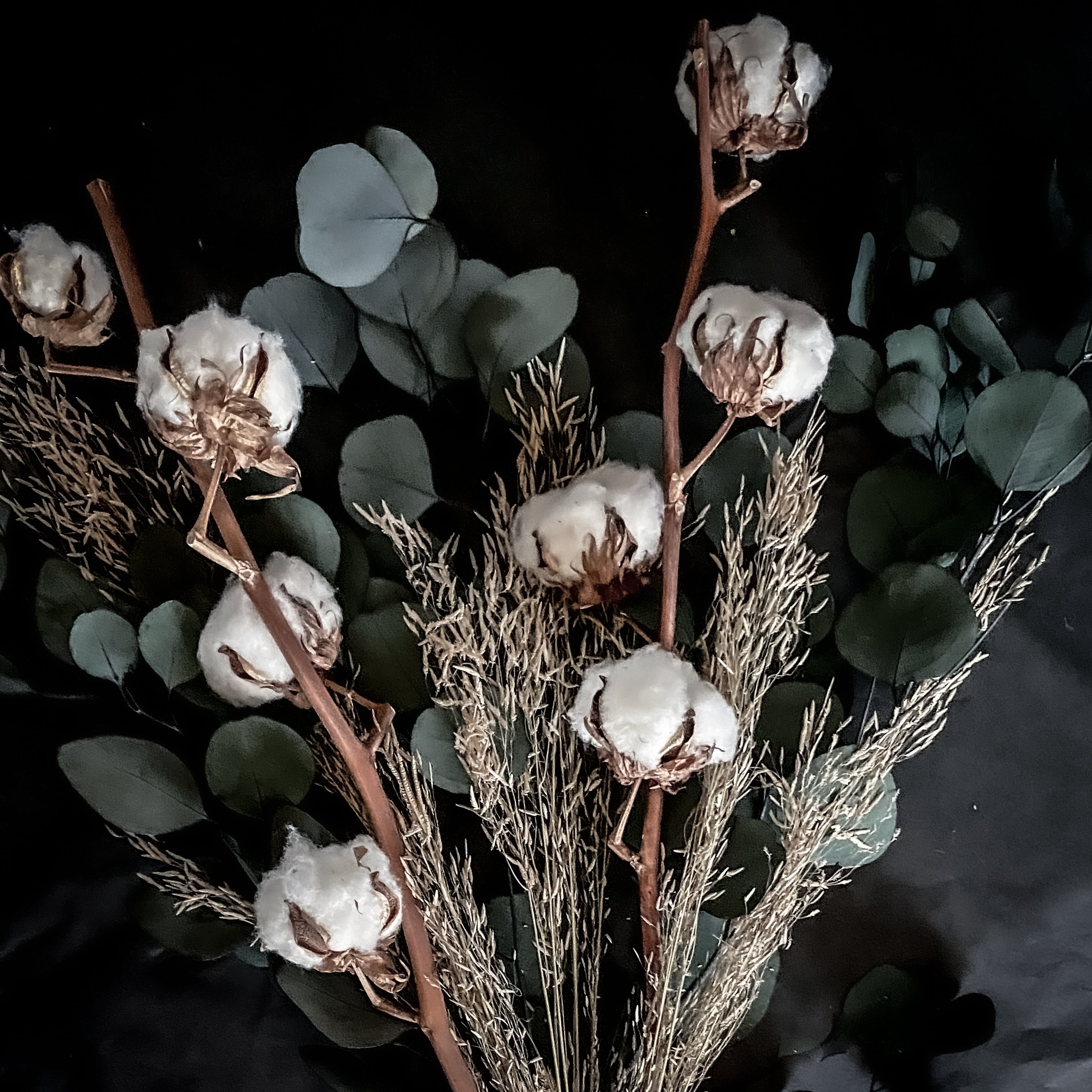 Dried Flower Bouquet: Eucalyptus & Cotton Stems