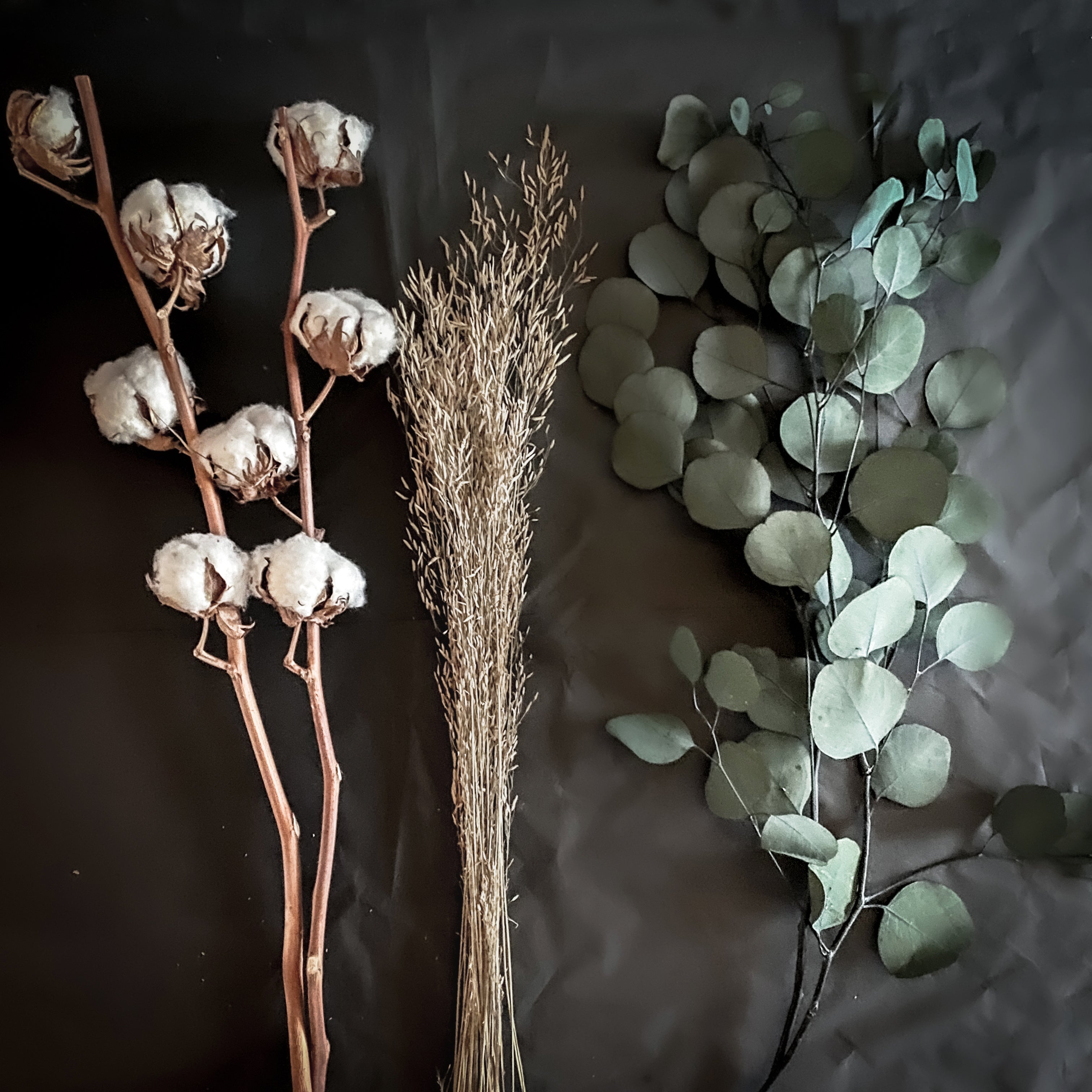 Dried Flower Bouquet: Eucalyptus & Cotton Stems