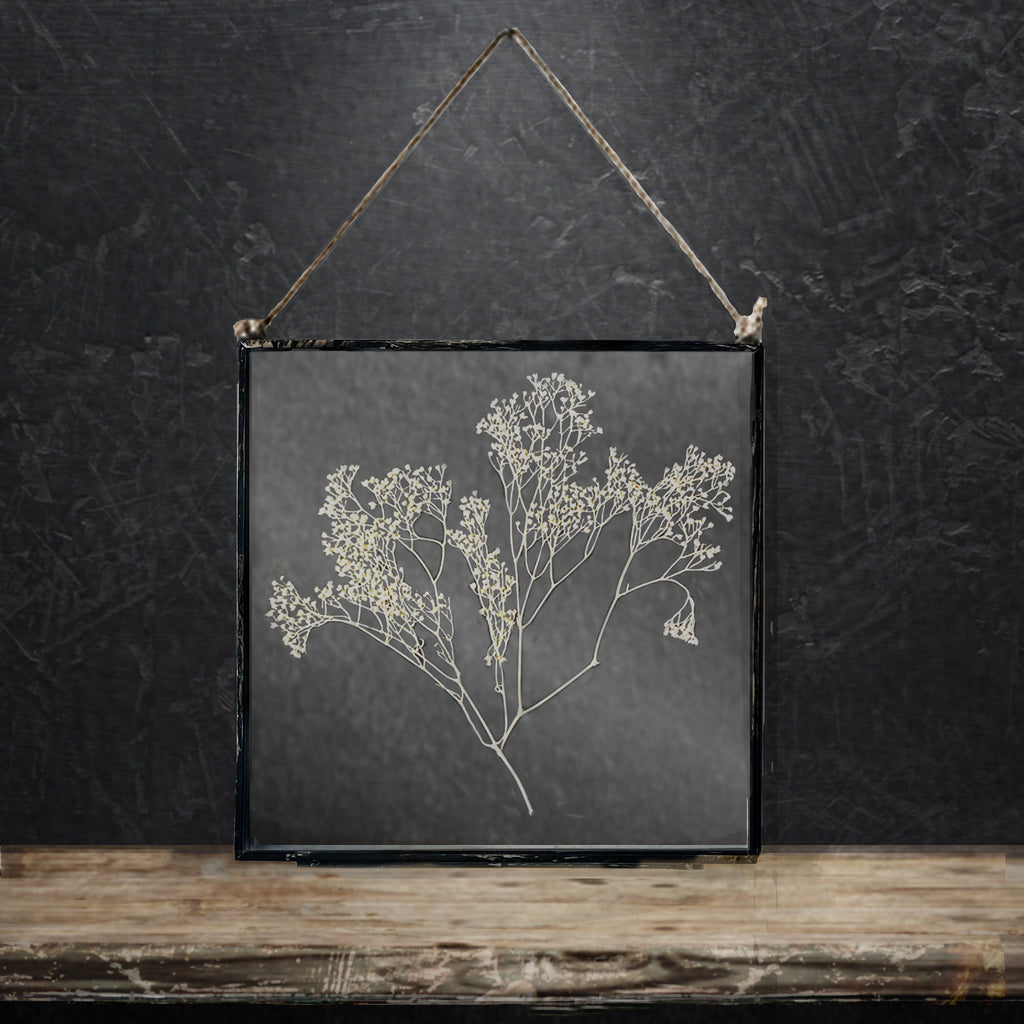 Black Antique Pressed Flower Frame: Dried Gypsophila - Large