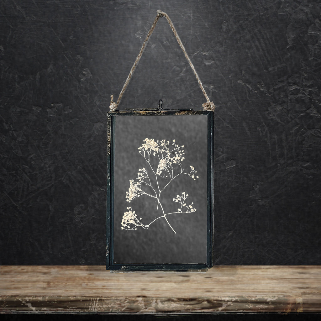 Black Antique Pressed Flower Frame: Dried Gypsophila - Small