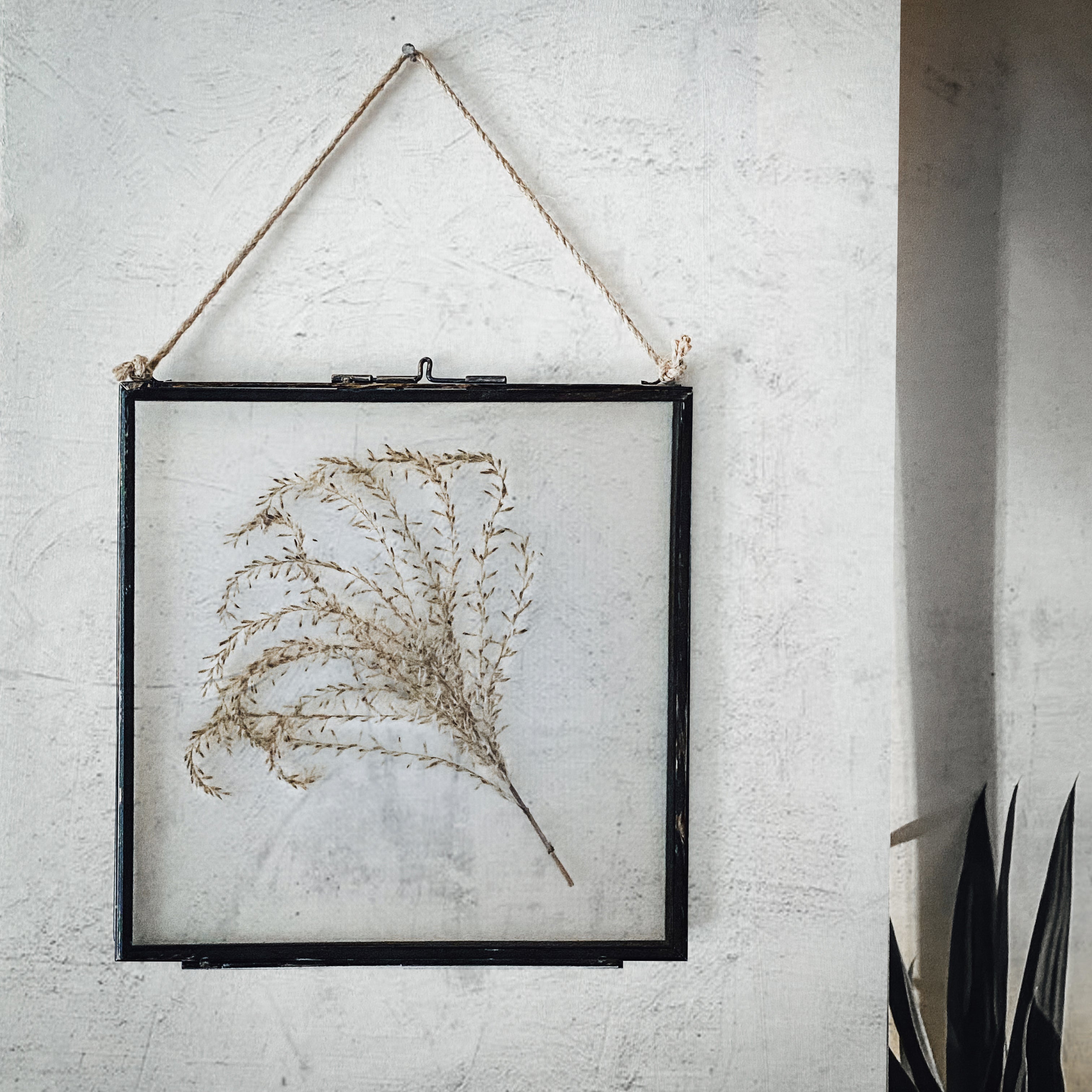 Black Antique Pressed Flower Frame: Dried Pampas - Large