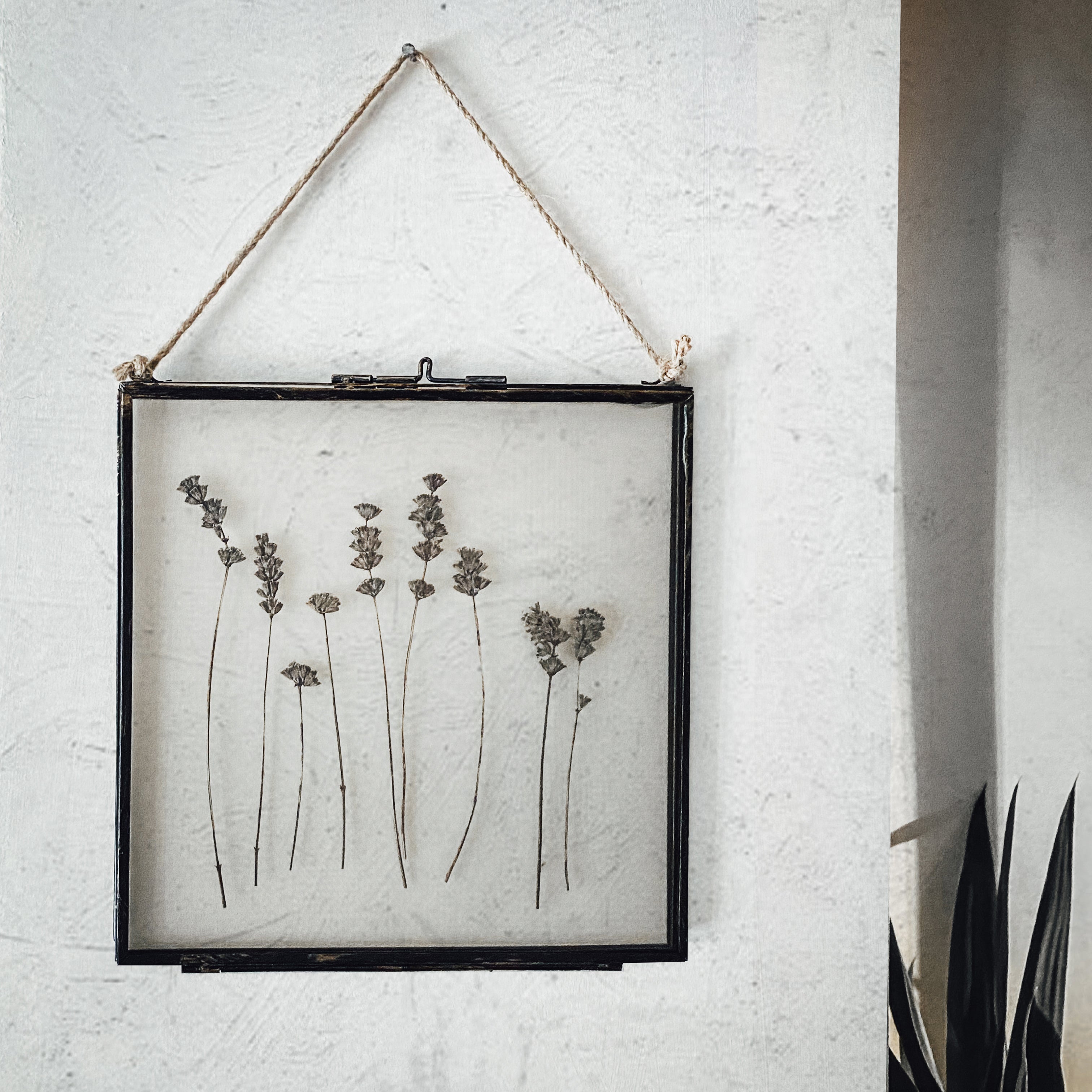 Black Antique Pressed Flower Frame: Dried Lavender - Large