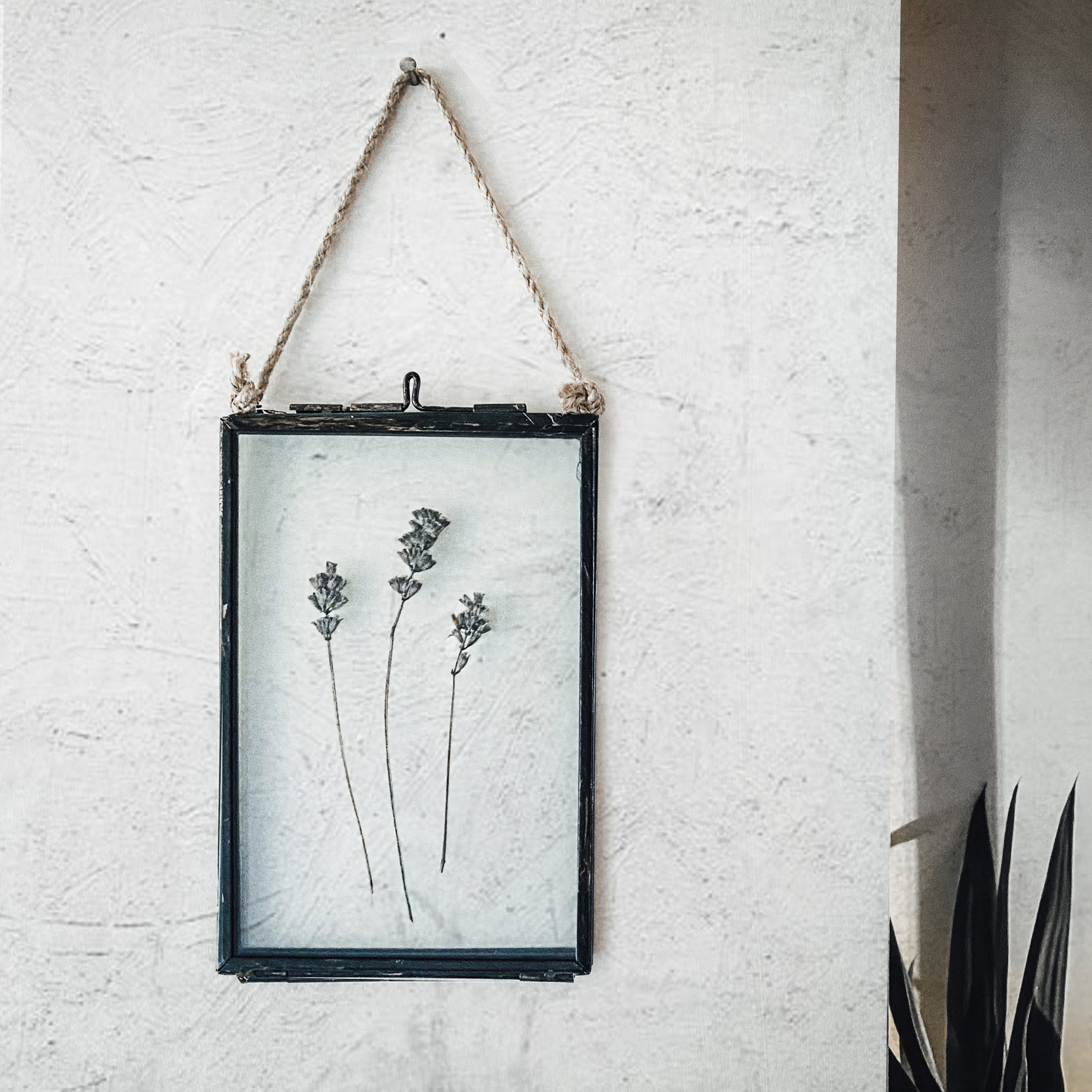 Black Antique Pressed Flower Frame: Dried Lavender -  Small