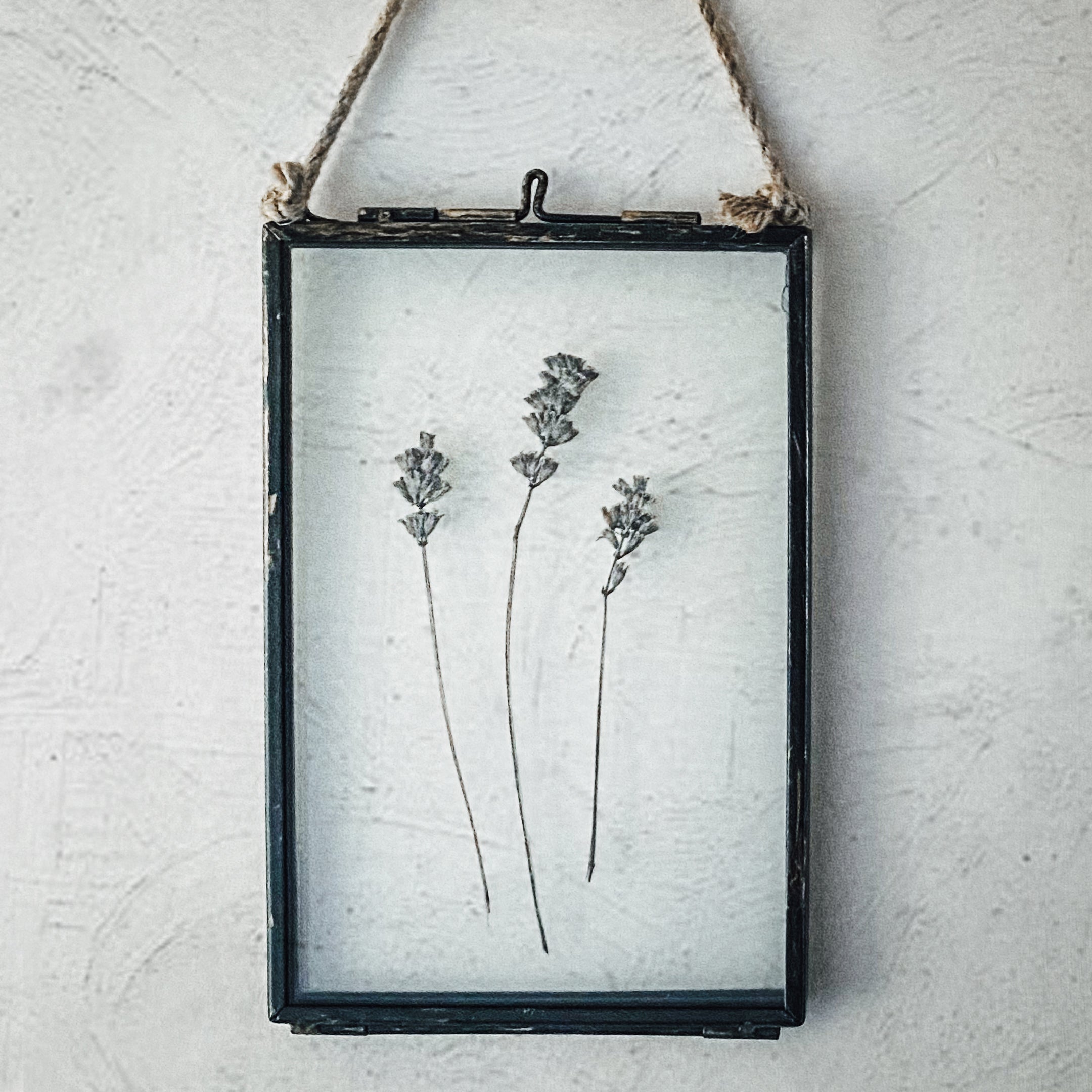 Black Antique Pressed Flower Frame: Dried Lavender -  Small