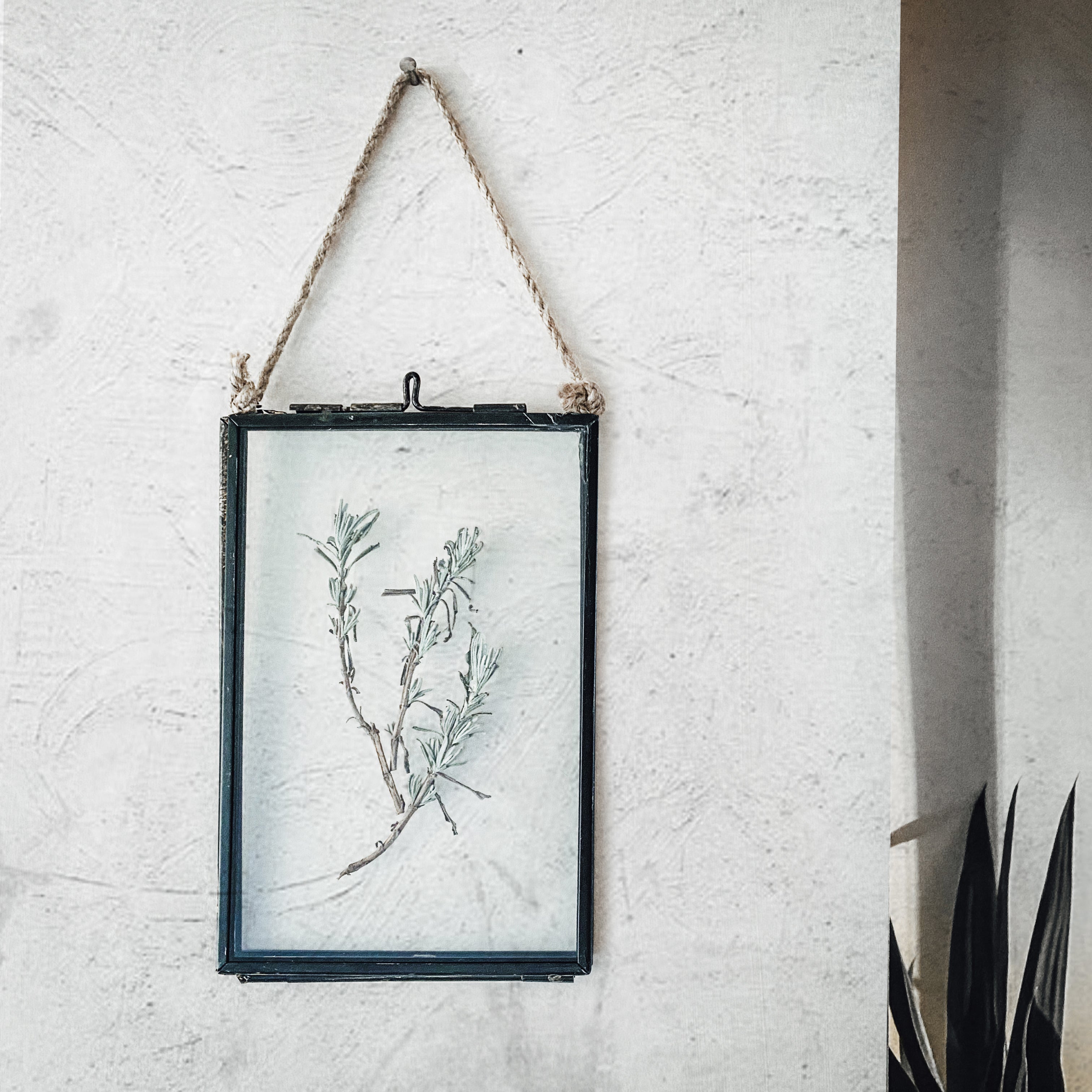 Black Antique Pressed Flower Frame: Dried Lavender Leaves - Small