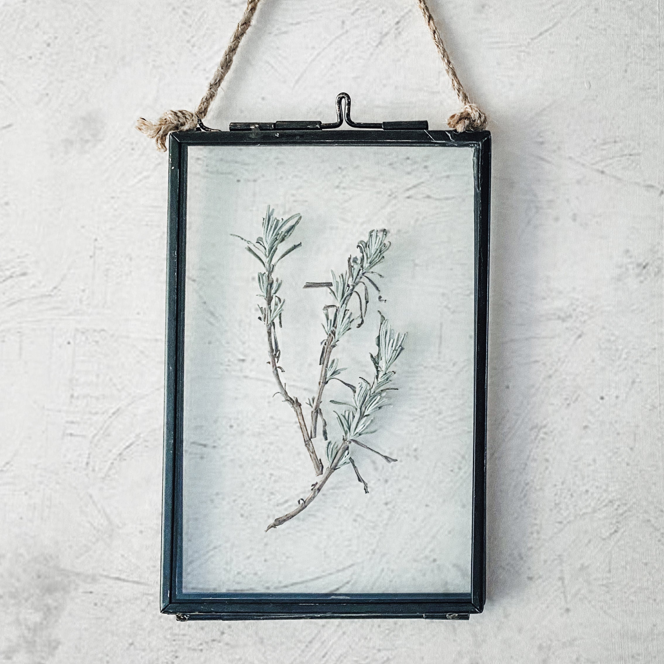 Black Antique Pressed Flower Frame: Dried Lavender Leaves - Small