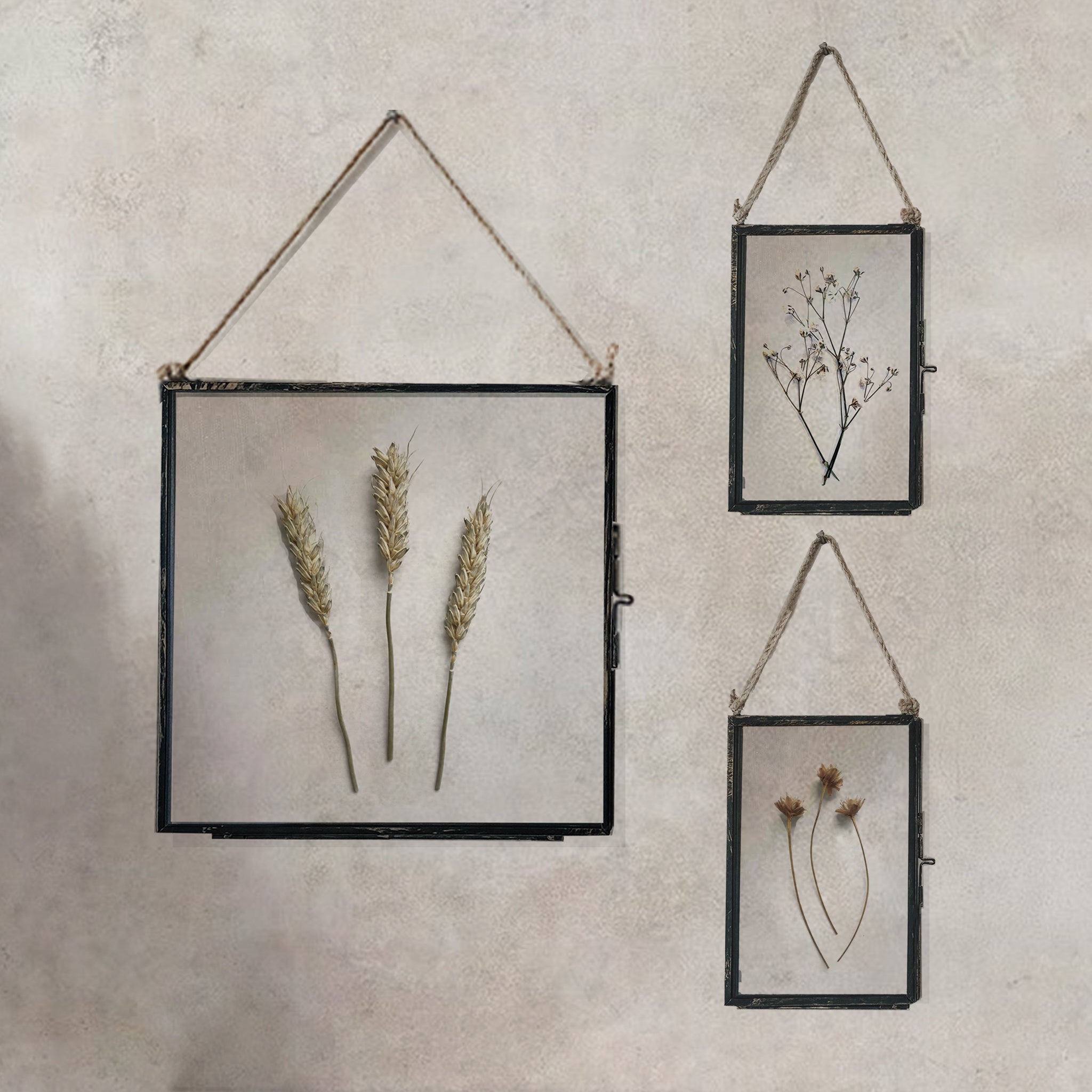 Set Of Three Pressed Flower Frames - Natural Wheat & Hill Flower