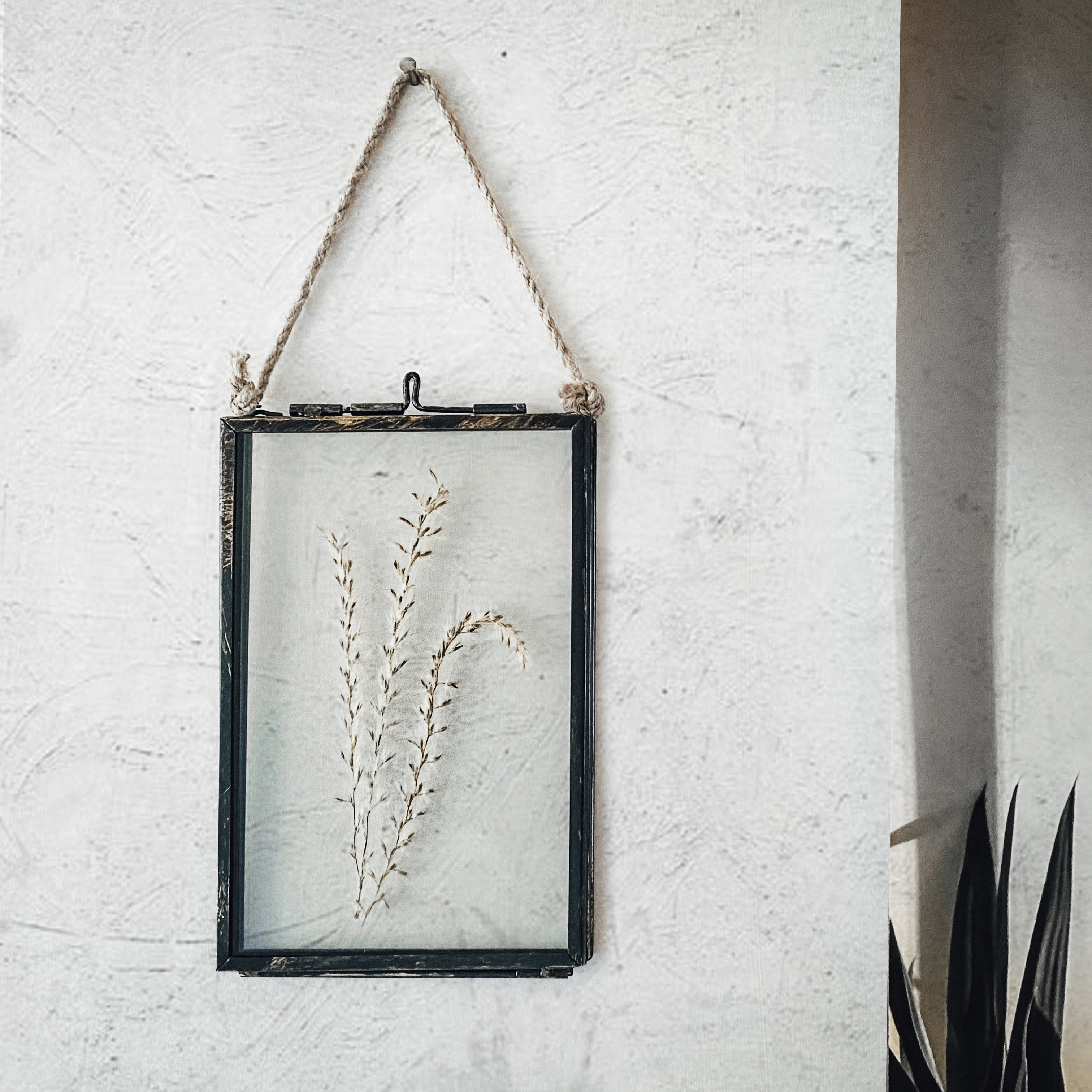 Black Antique Pressed Flower Frame: Dried Pampas Grass - Small