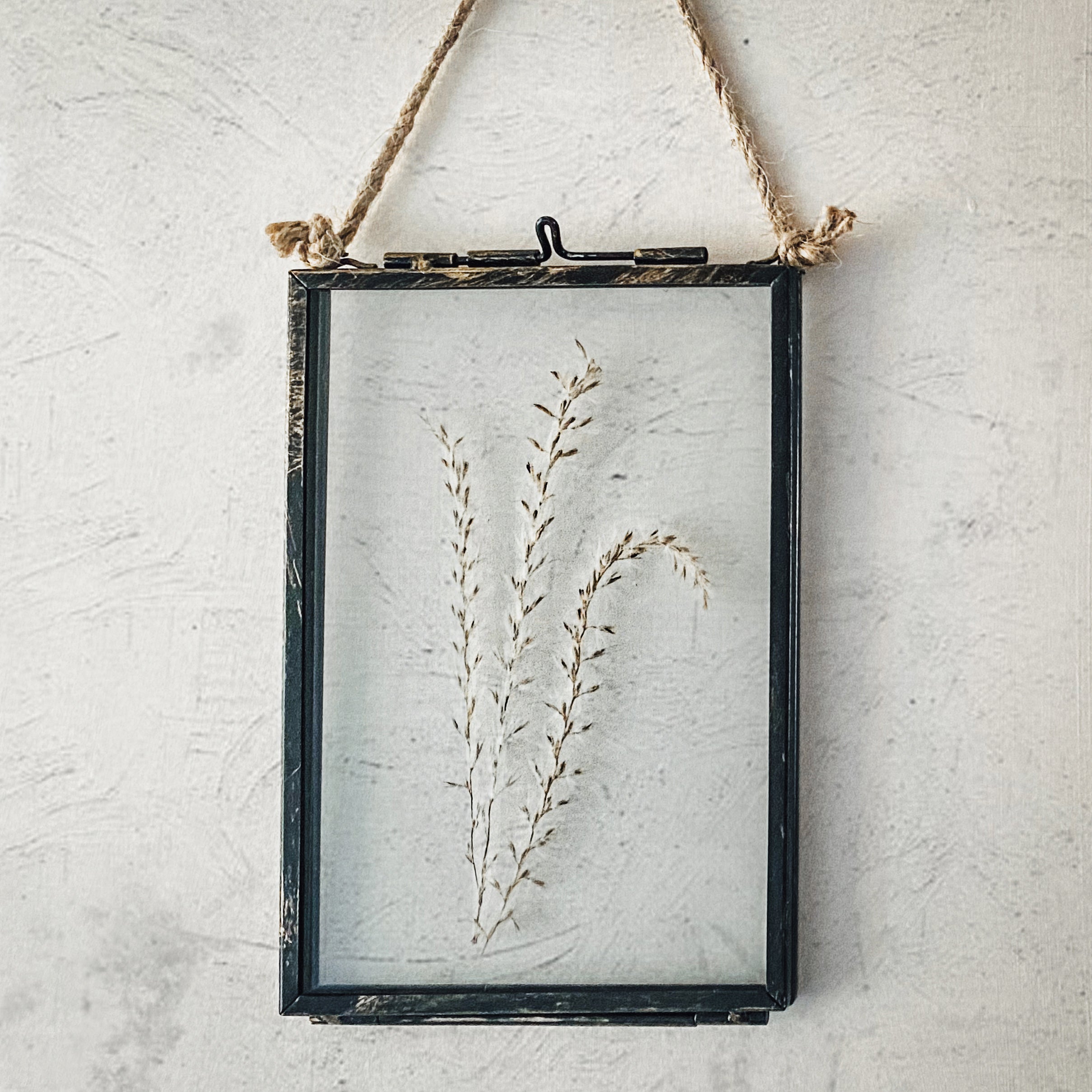 Black Antique Pressed Flower Frame: Dried Pampas Grass - Small