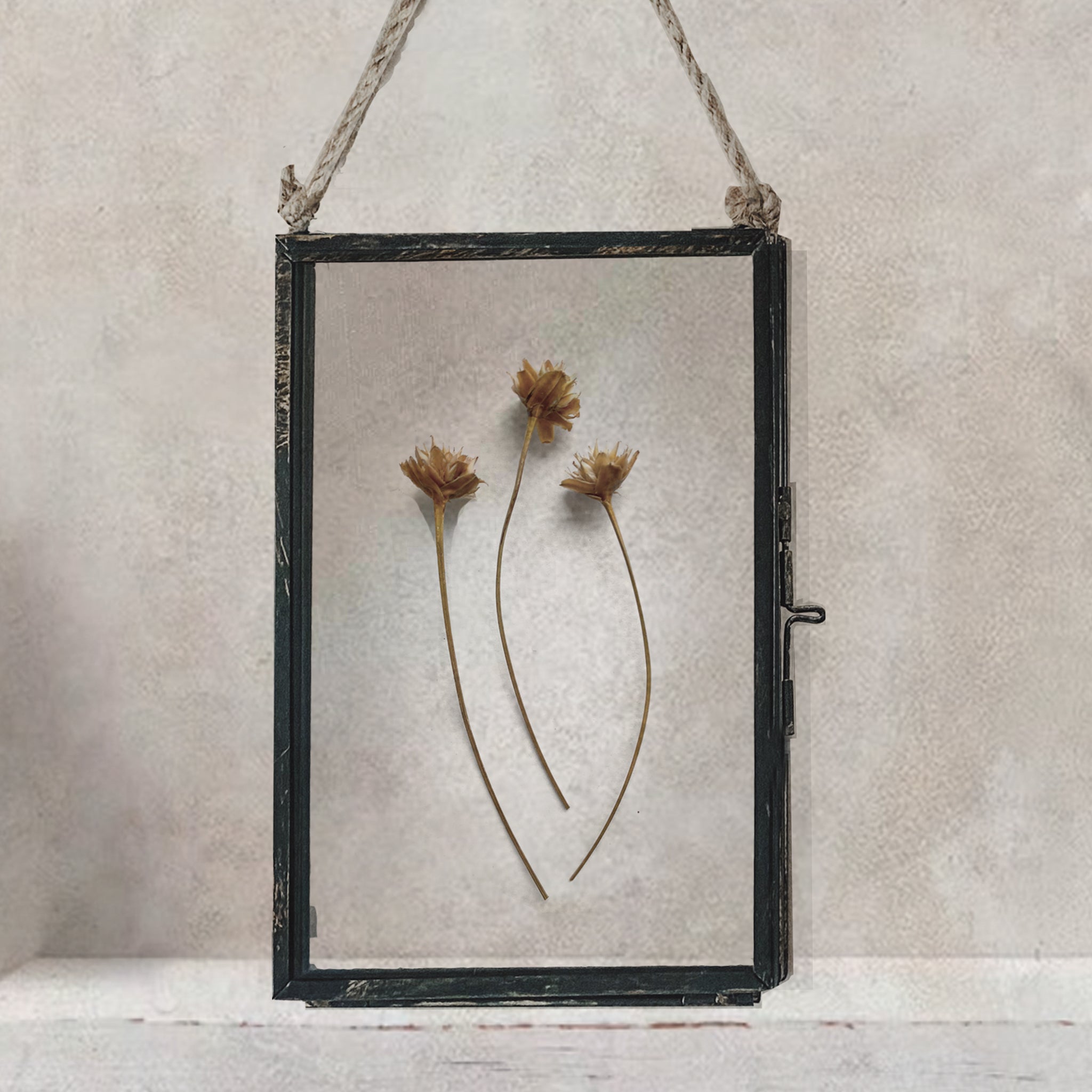 Black Antique Pressed Flower Frame: Natural Hill Flower - Small