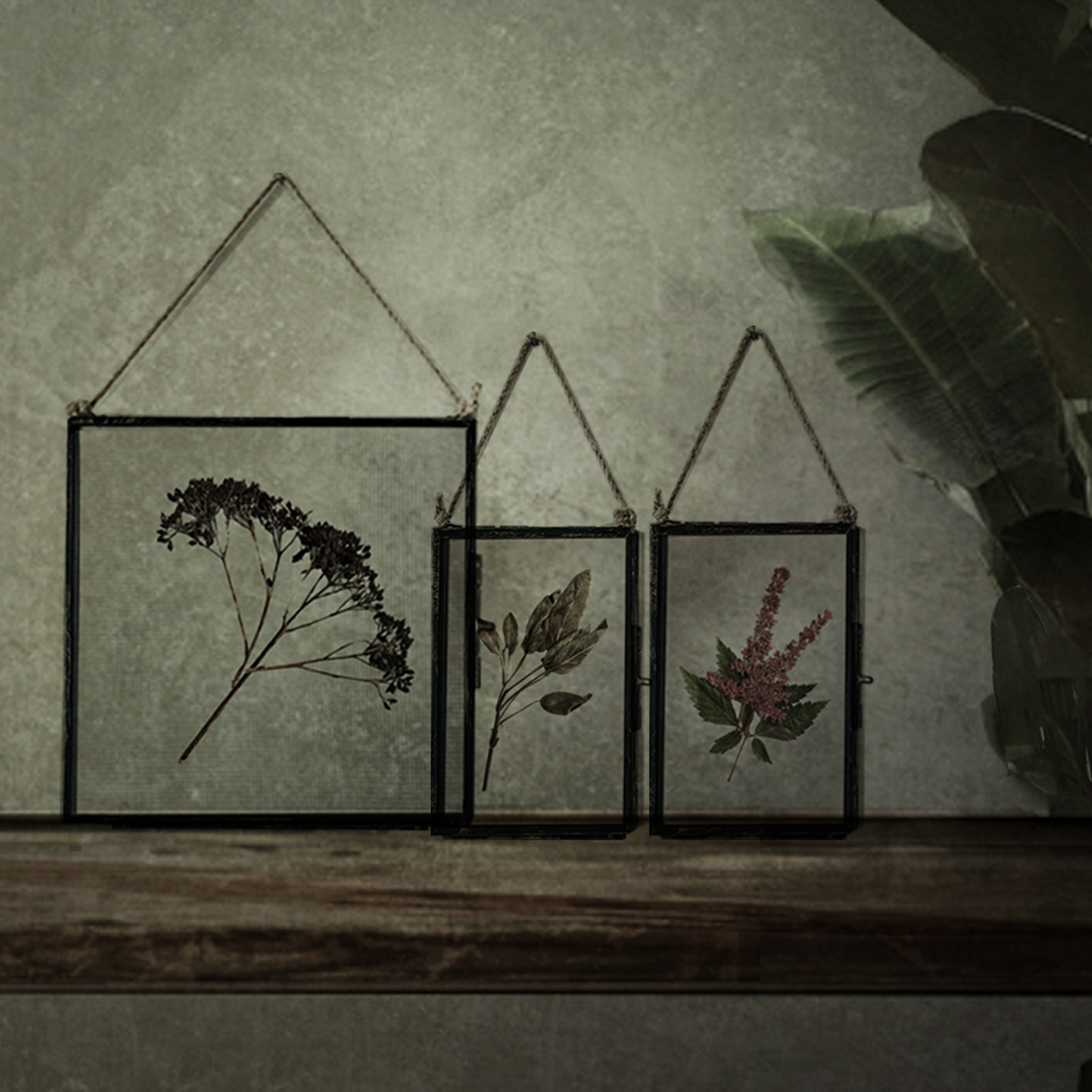 Antique Pressed Flower Frame: Dried Buddleia - Large