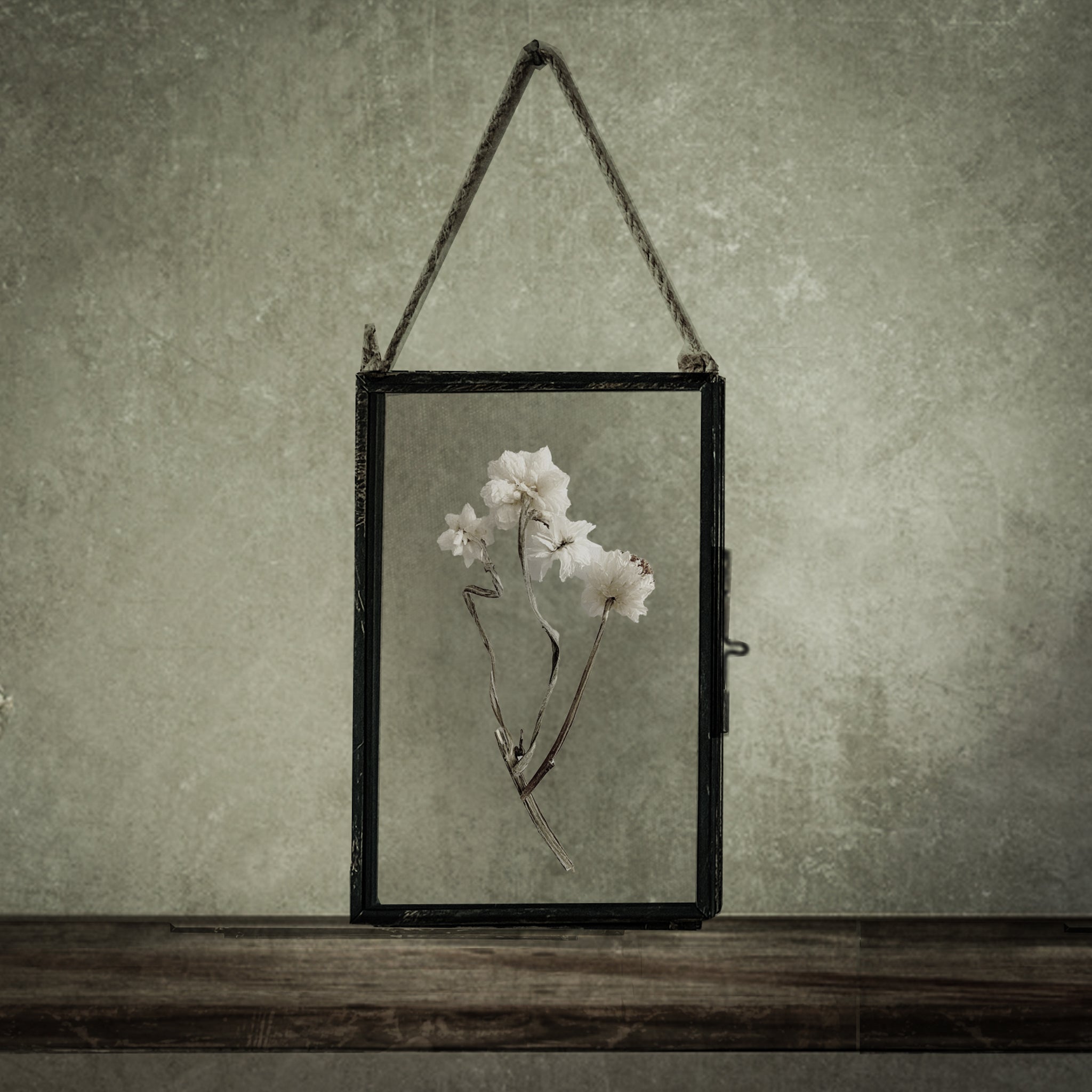Black Antique Pressed Flower Frame: Dried Achillea Ptarmica - Small