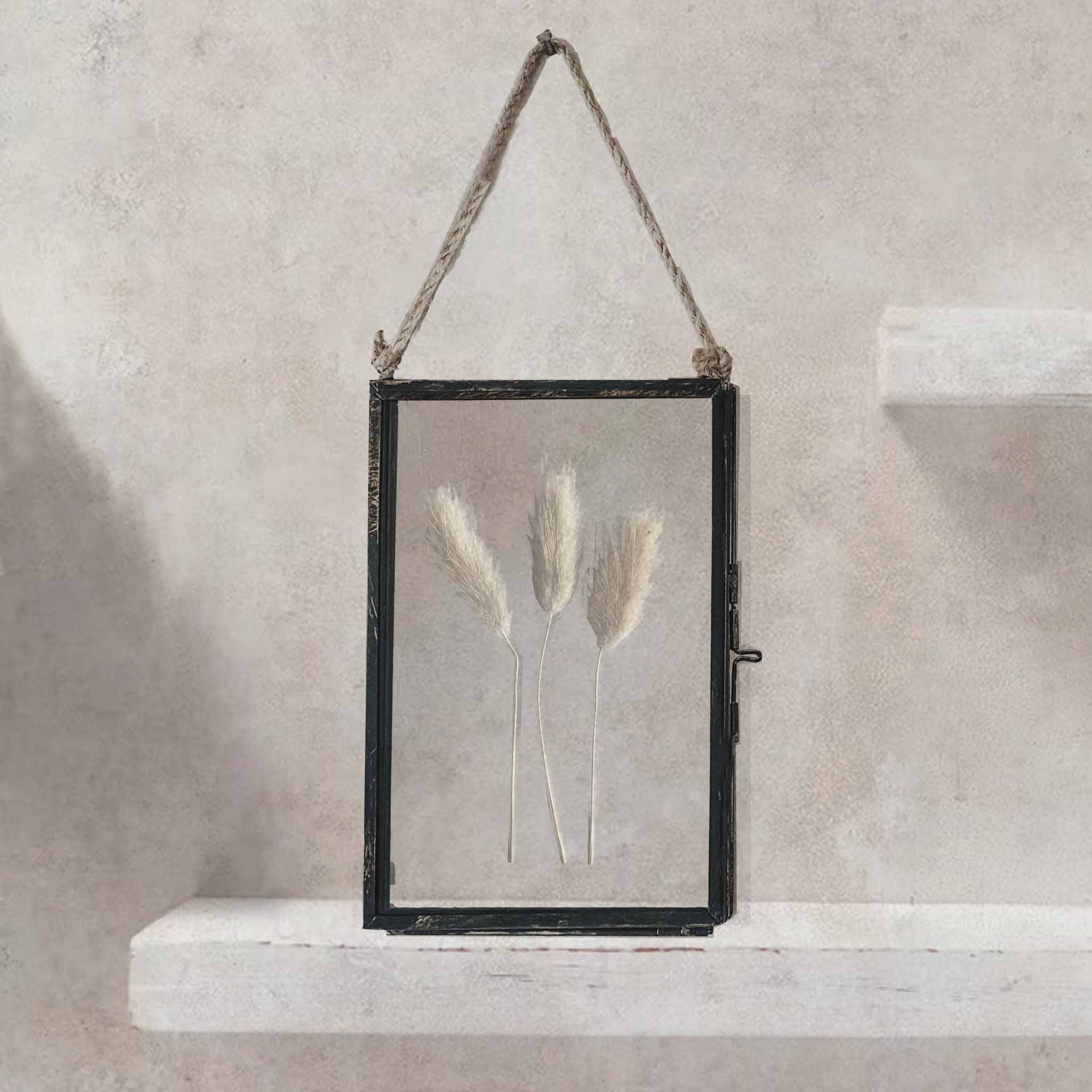 Black Antique Pressed Flower Frame: White Bunny Tails - Small