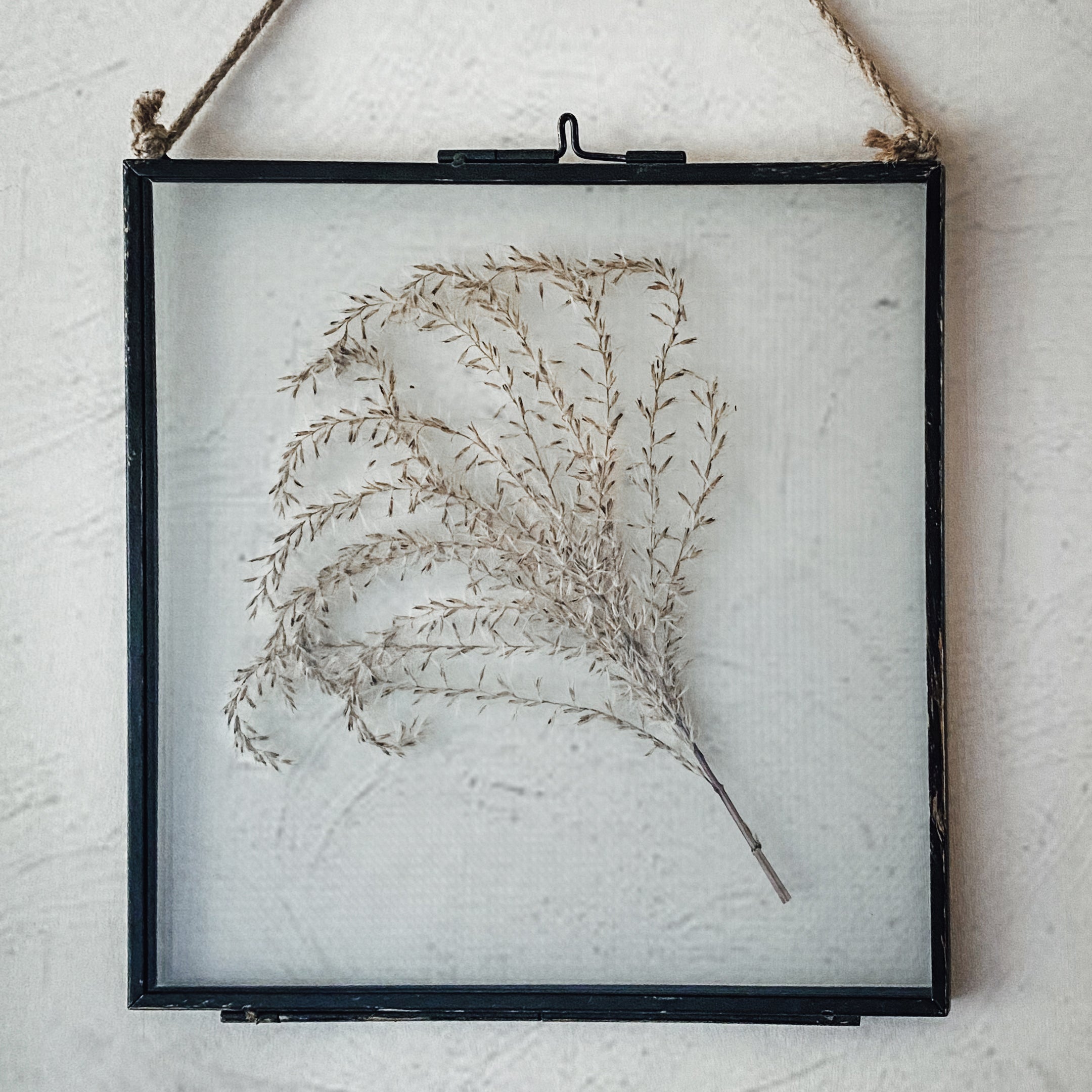Black Antique Pressed Flower Frame: Dried Pampas - Large
