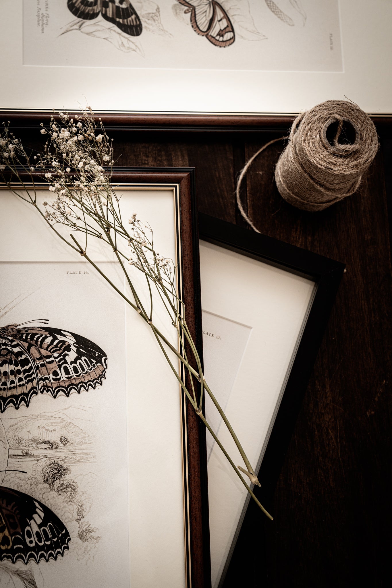 Framed Set of Six Vintage Butterfly Art Prints (Classic Teak Frame Collection)