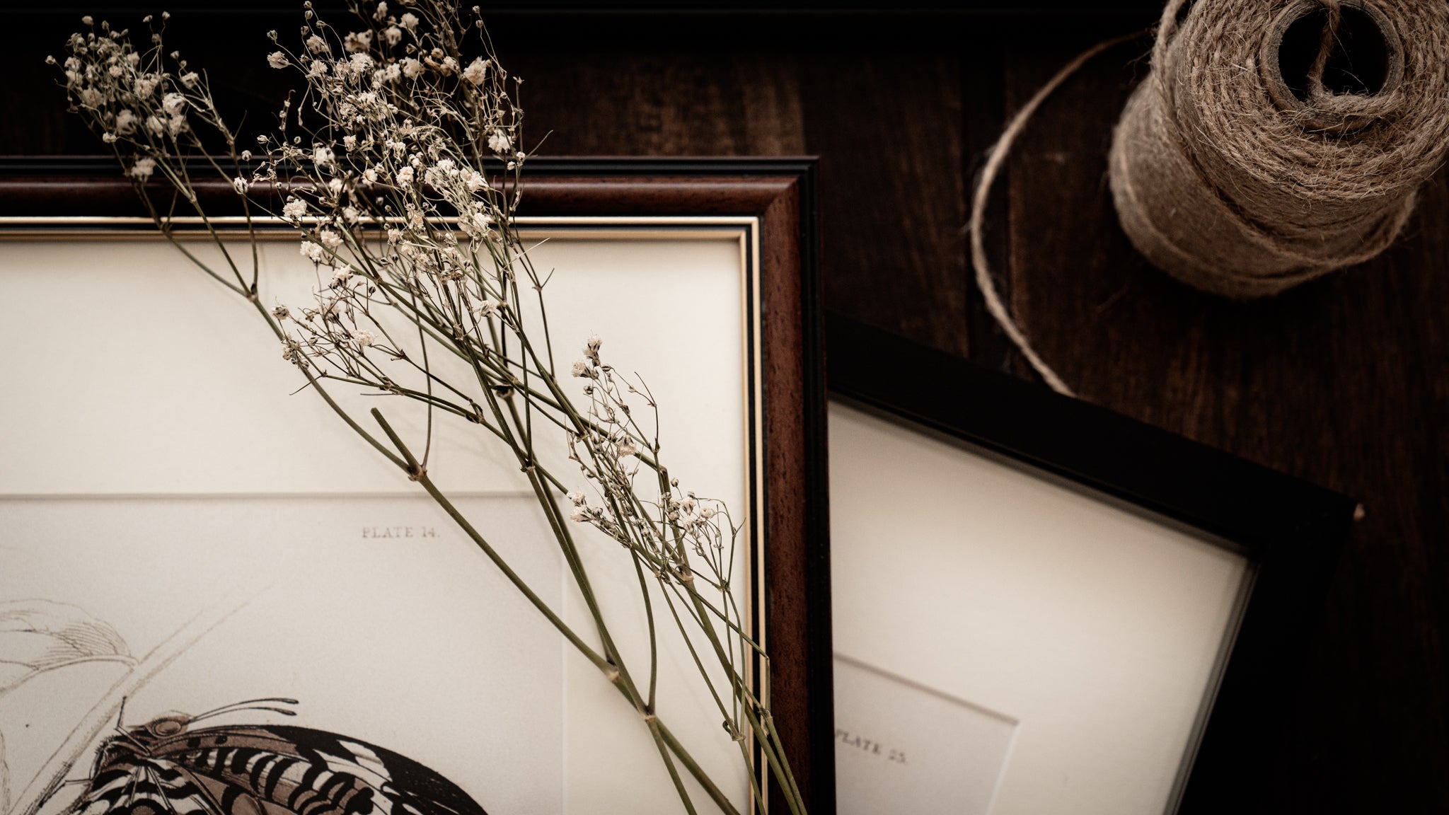 Framed Set of Two Vintage Butterfly Art Prints 02 (Classic Teak Frame Collection)