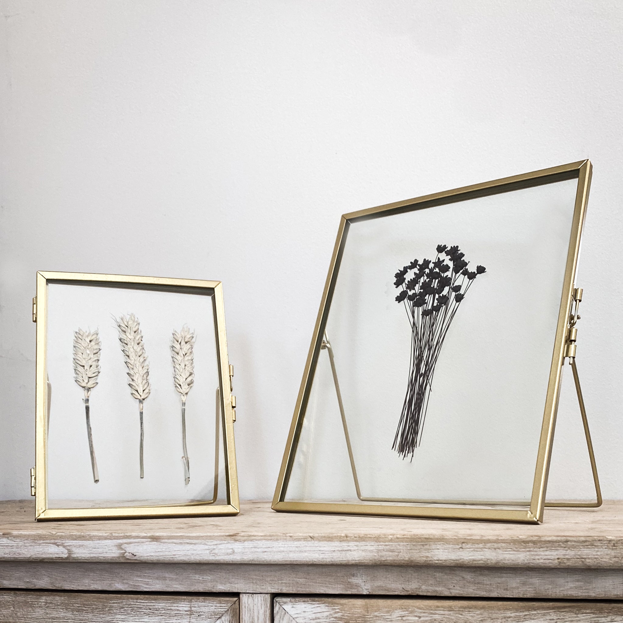 Gold Pressed Flower Frame: Dried Black Daisies -  Large