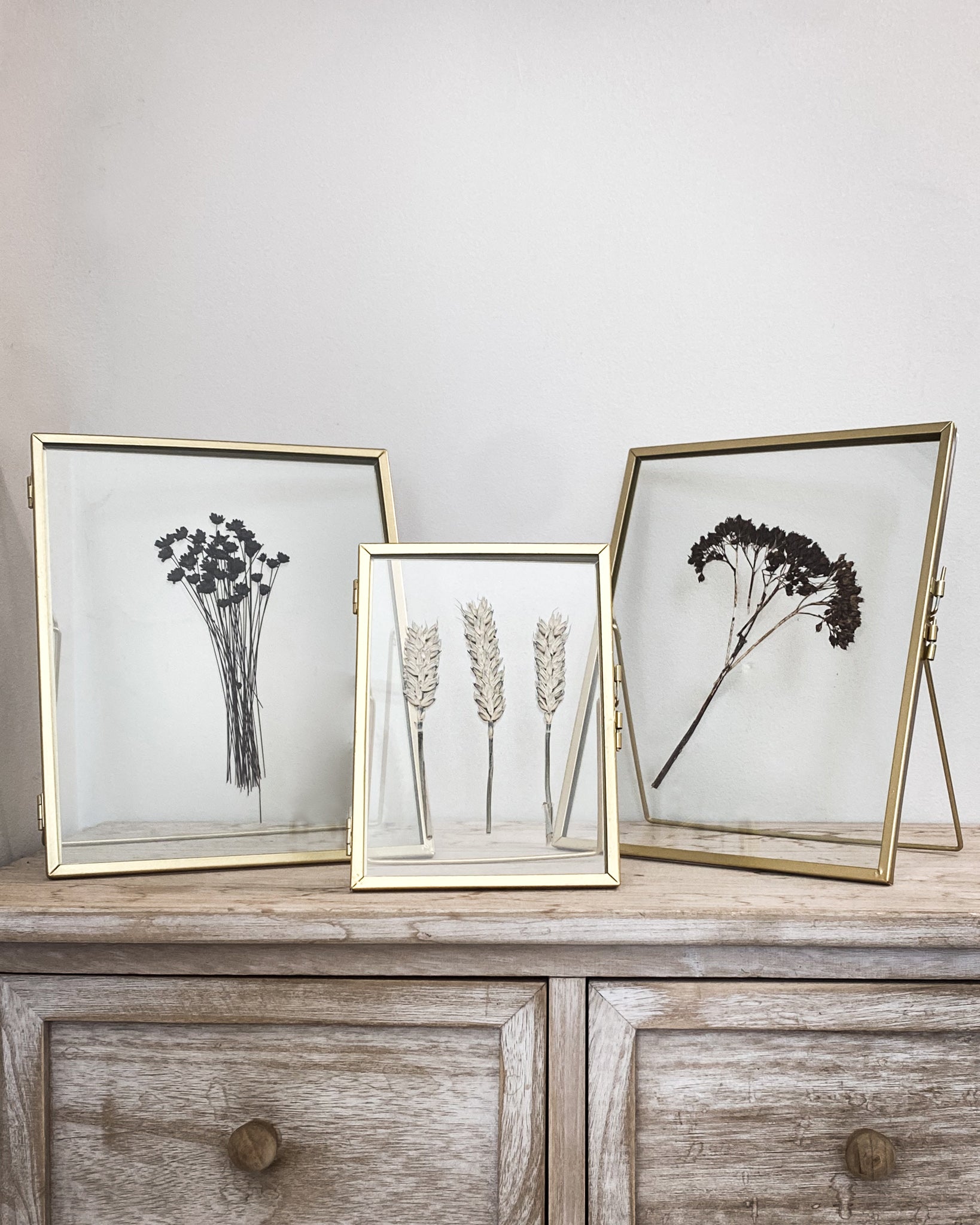 Set Of Two Gold Pressed Flower Frames - Black Star Daisies & Natural Wheat