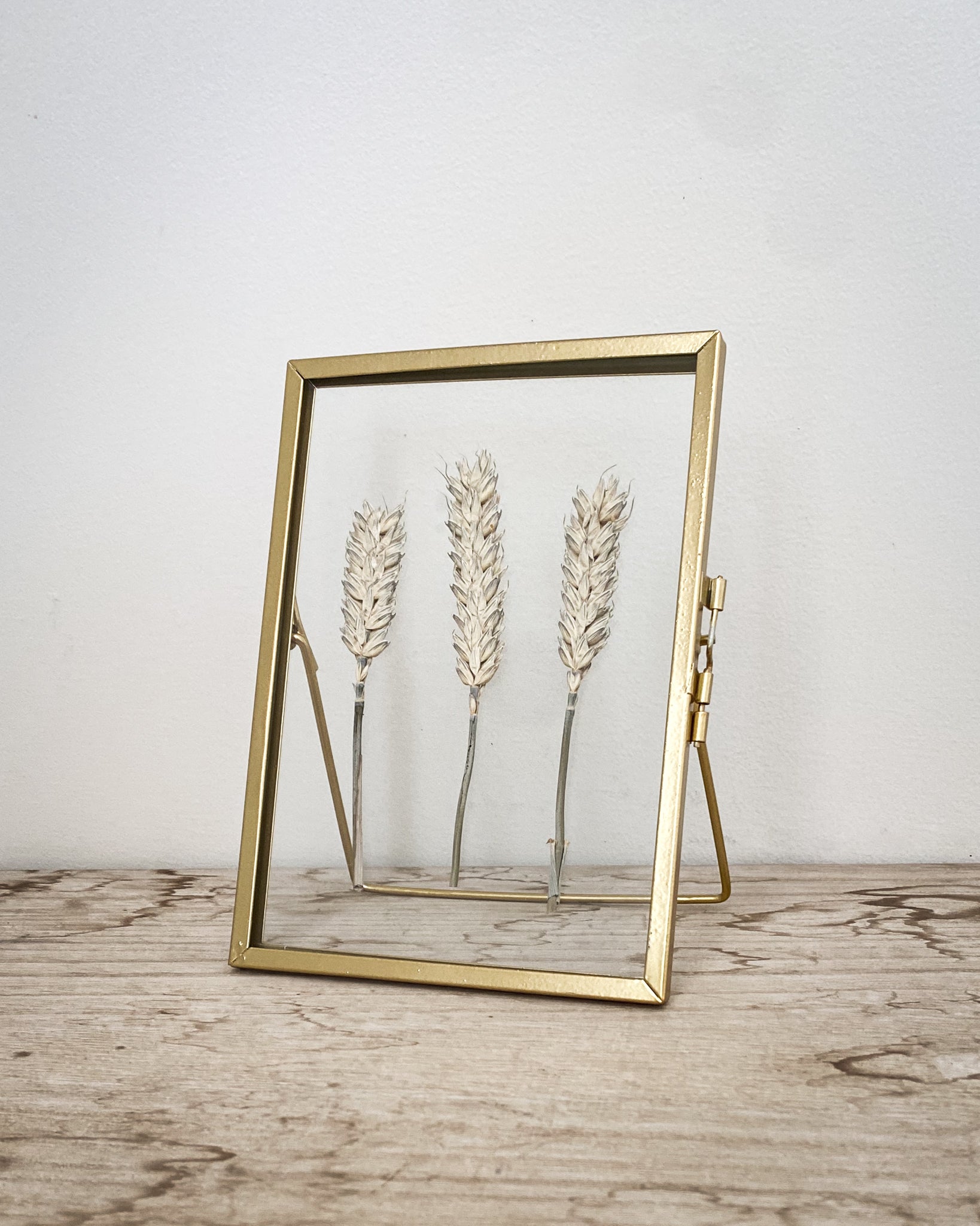 Set Of Two Gold Pressed Flower Frames - Natural Star Daisies & Wheat