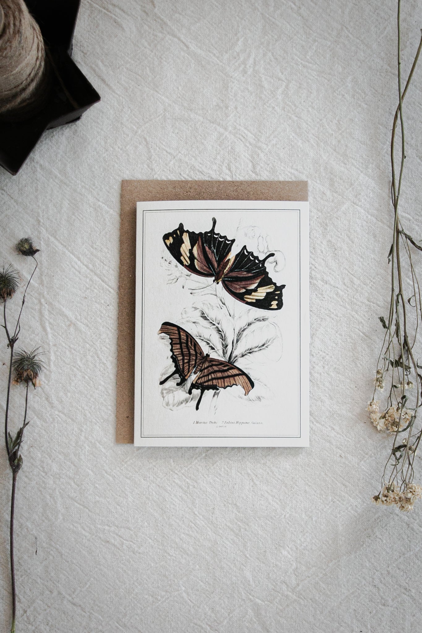 Vintage Butterfly Art Greeting Card – A6 Blank Card with Kraft Envelope 01