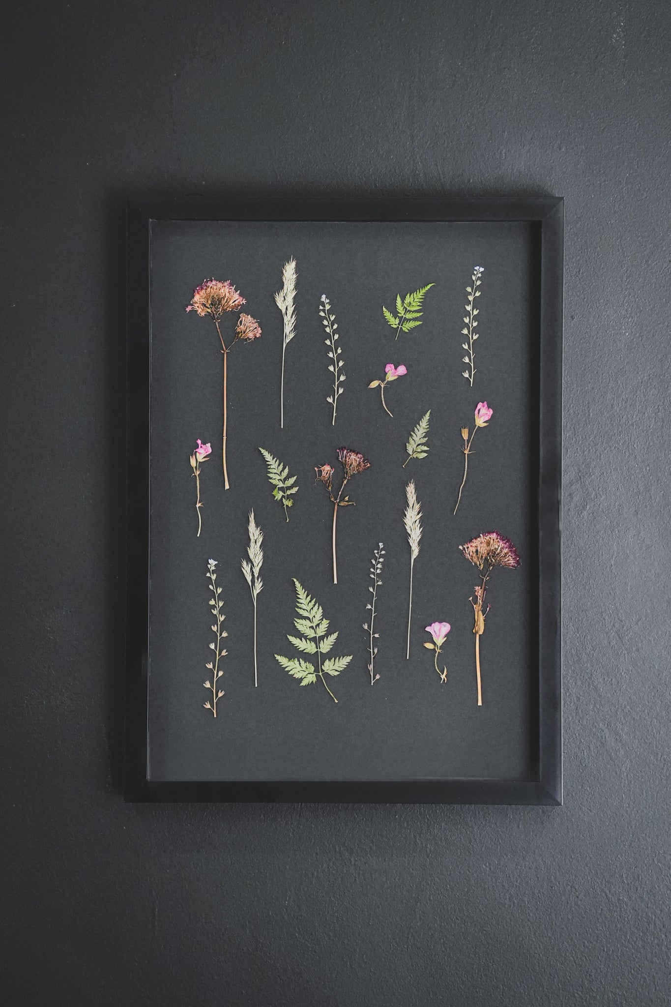 Shadow Garden – Large Pressed Flower Frame