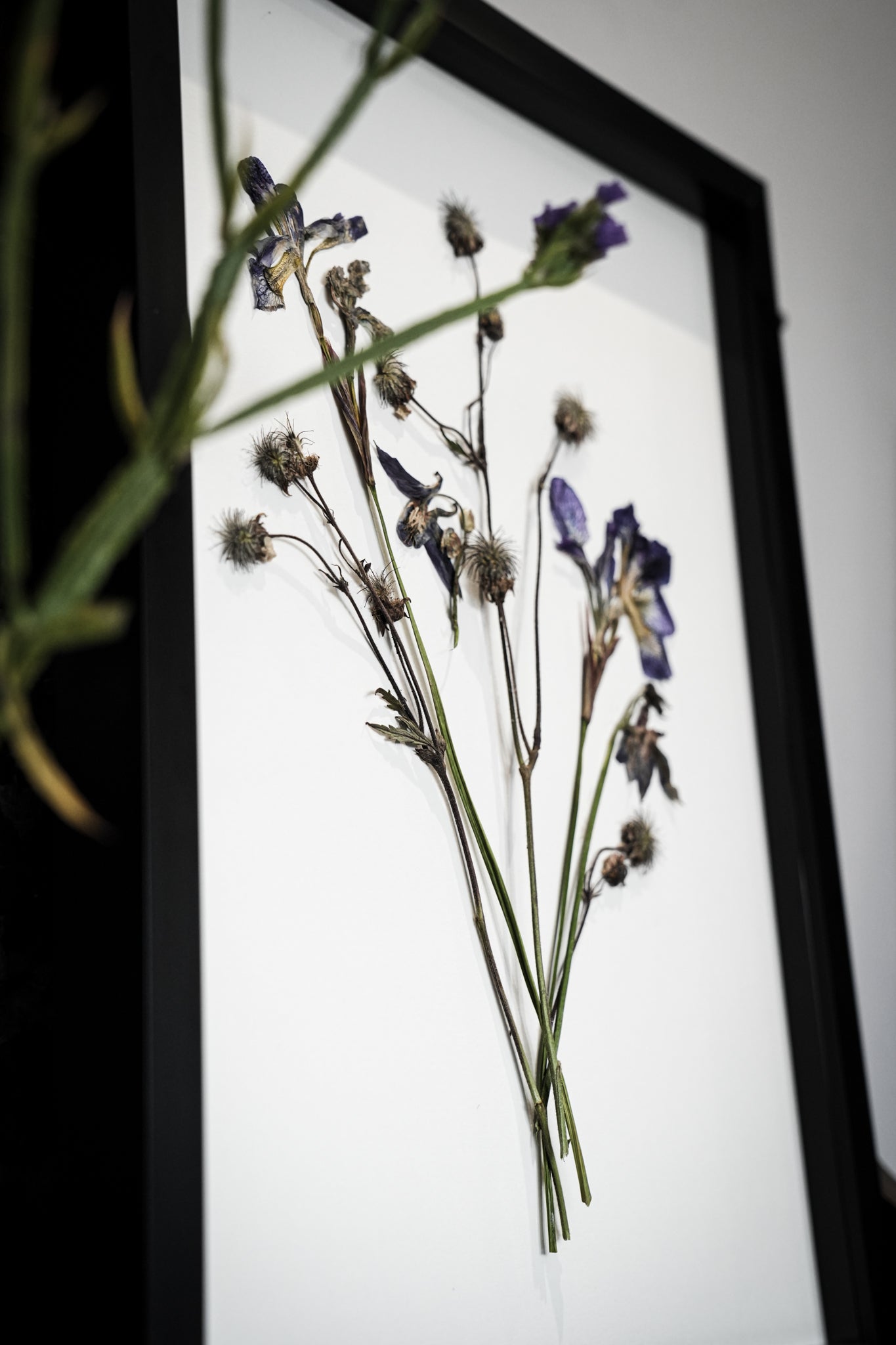 Wild Fade – Large Pressed Flower Frame