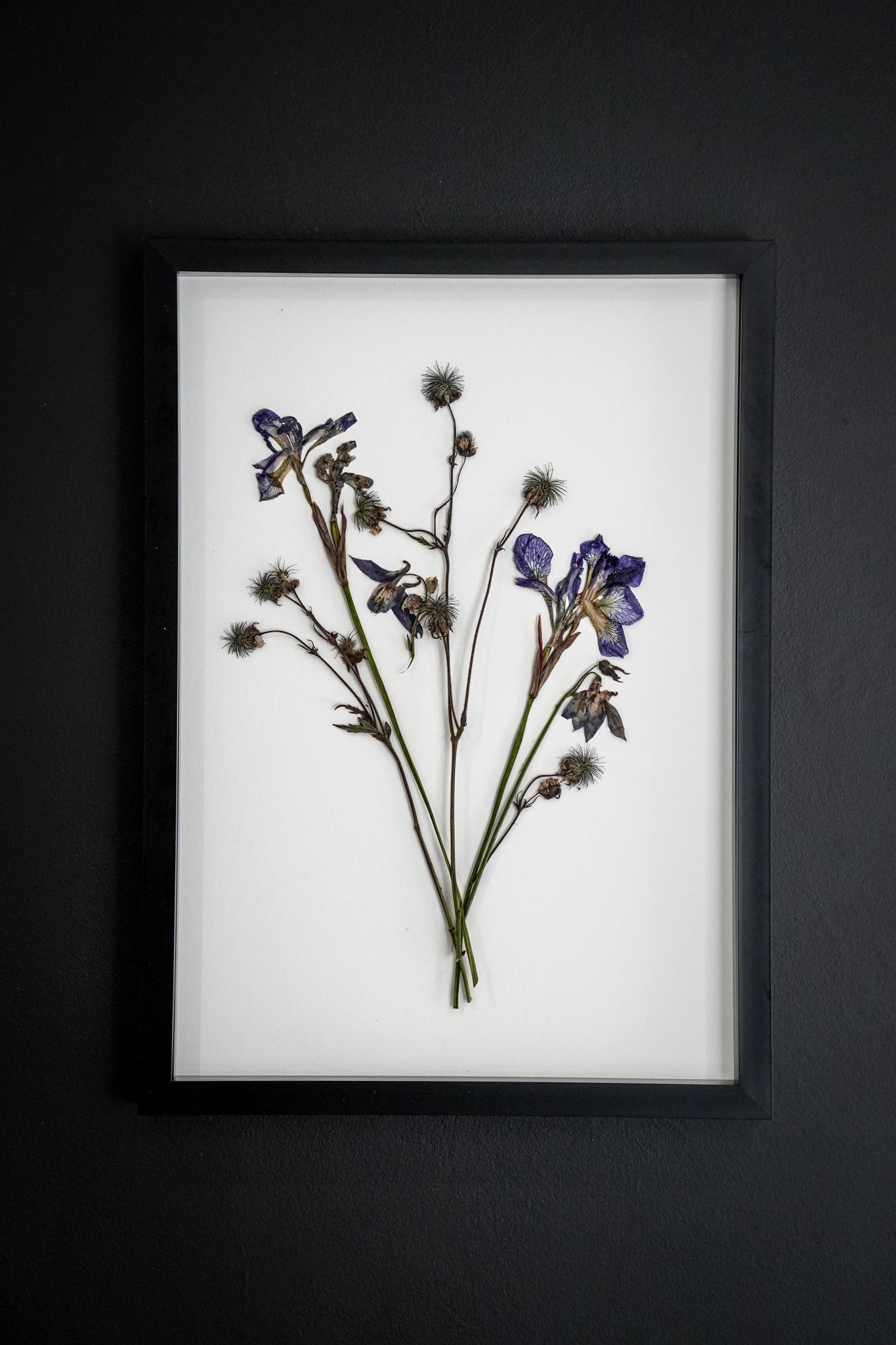 Wild Fade – Large Pressed Flower Frame