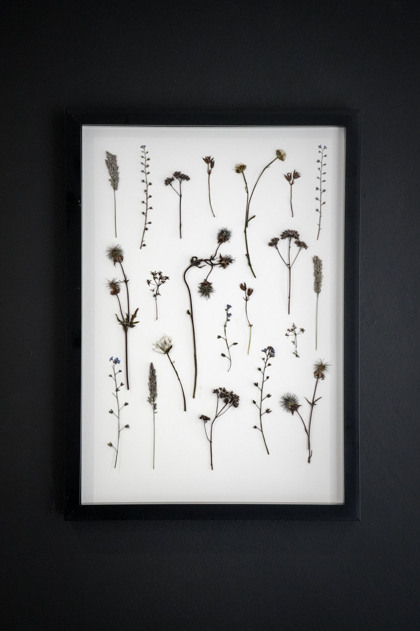 Field Notes – Large Pressed Flower Frame