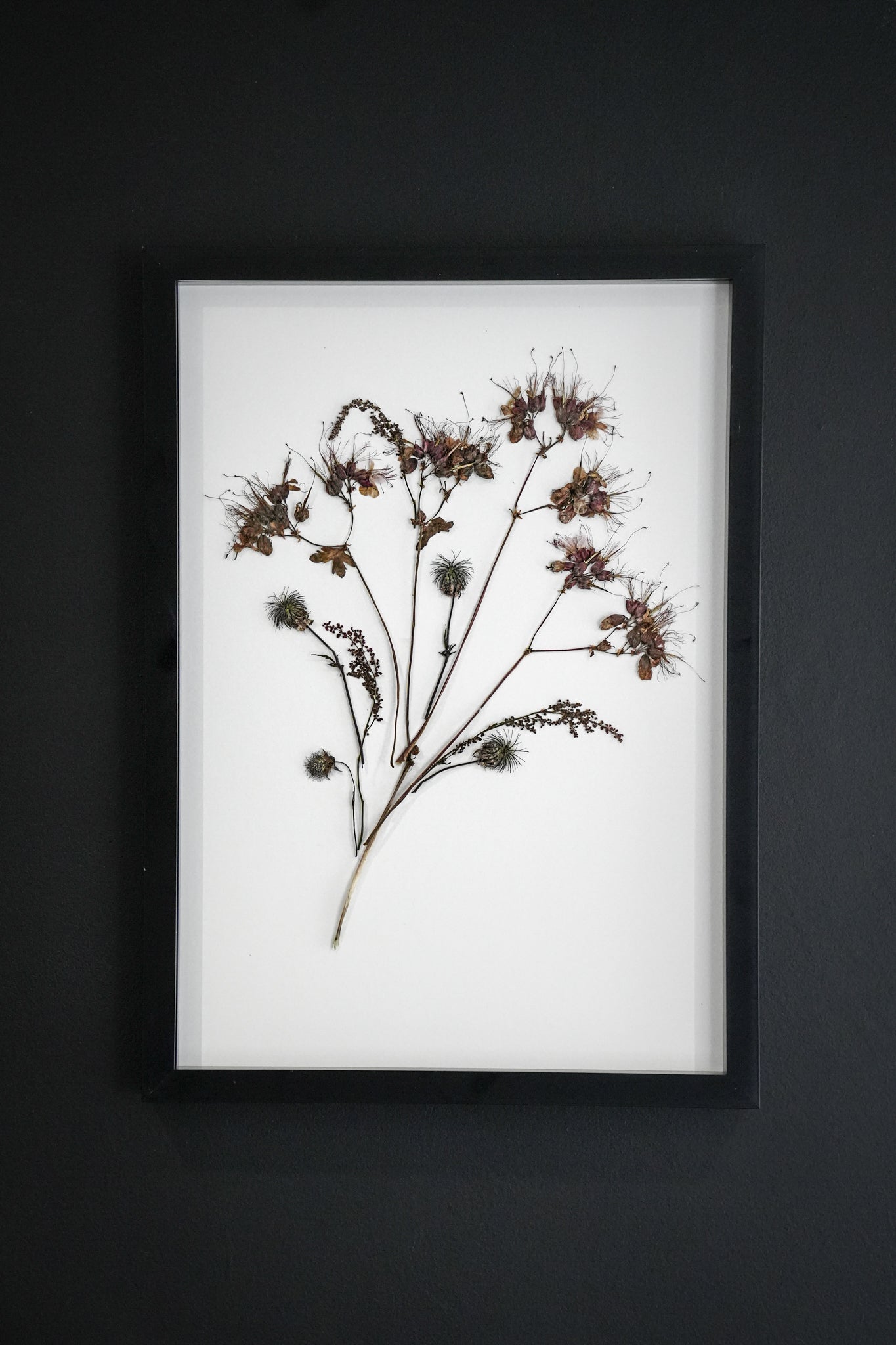 Echo Bloom – Large Pressed Flower Frame