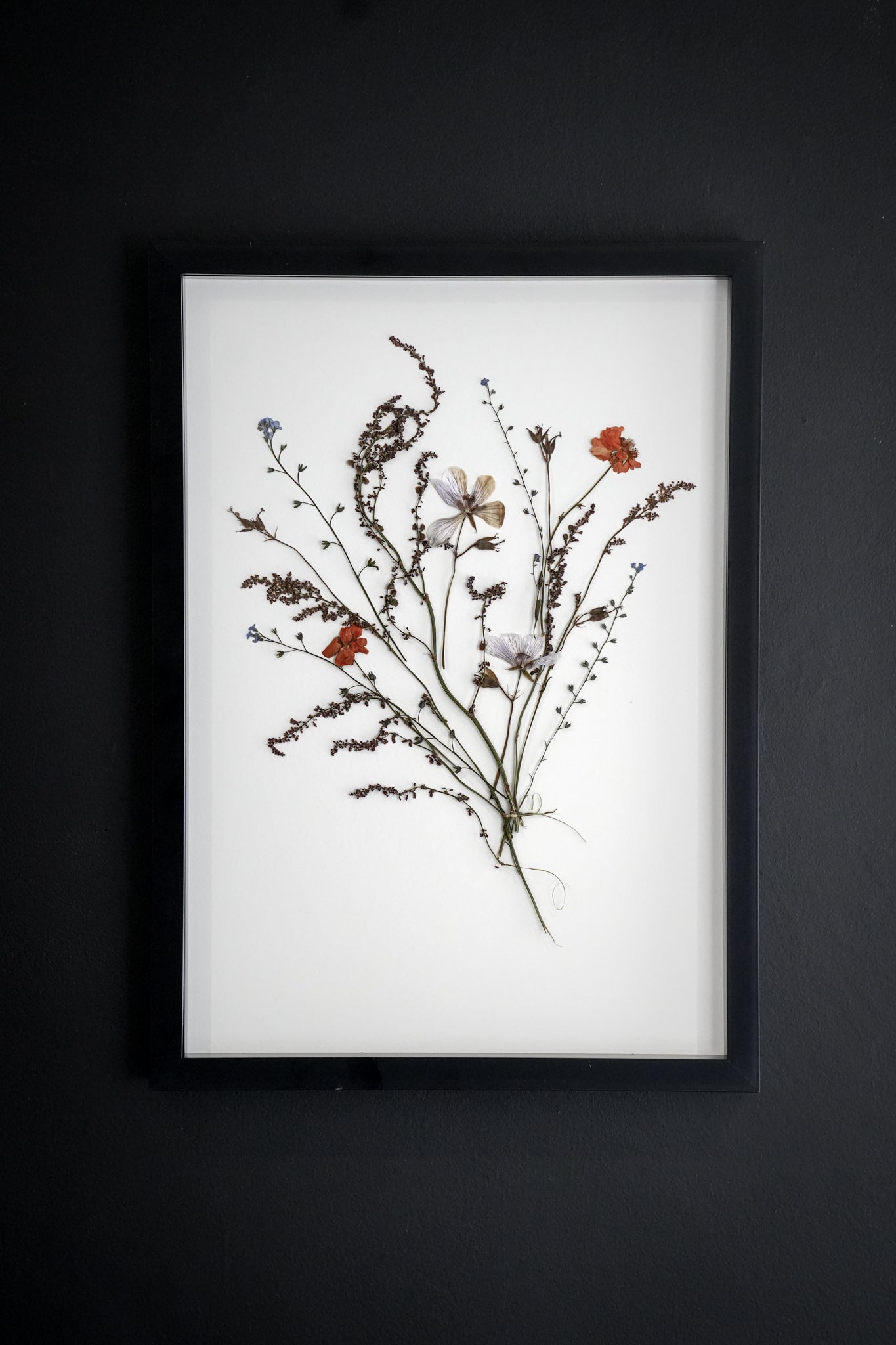 Whisper Stem – A3 Pressed Flower Frame