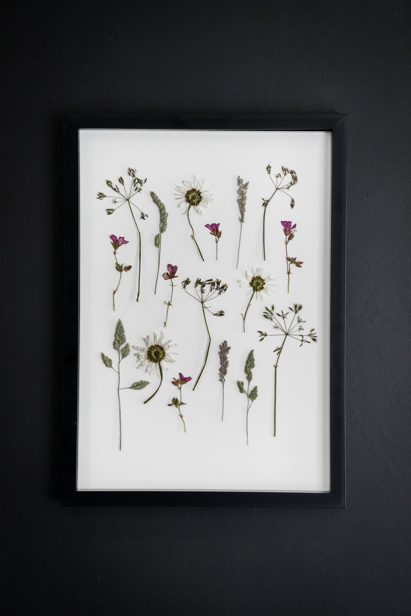Pressed Meadow – Large Pressed Flower Frame