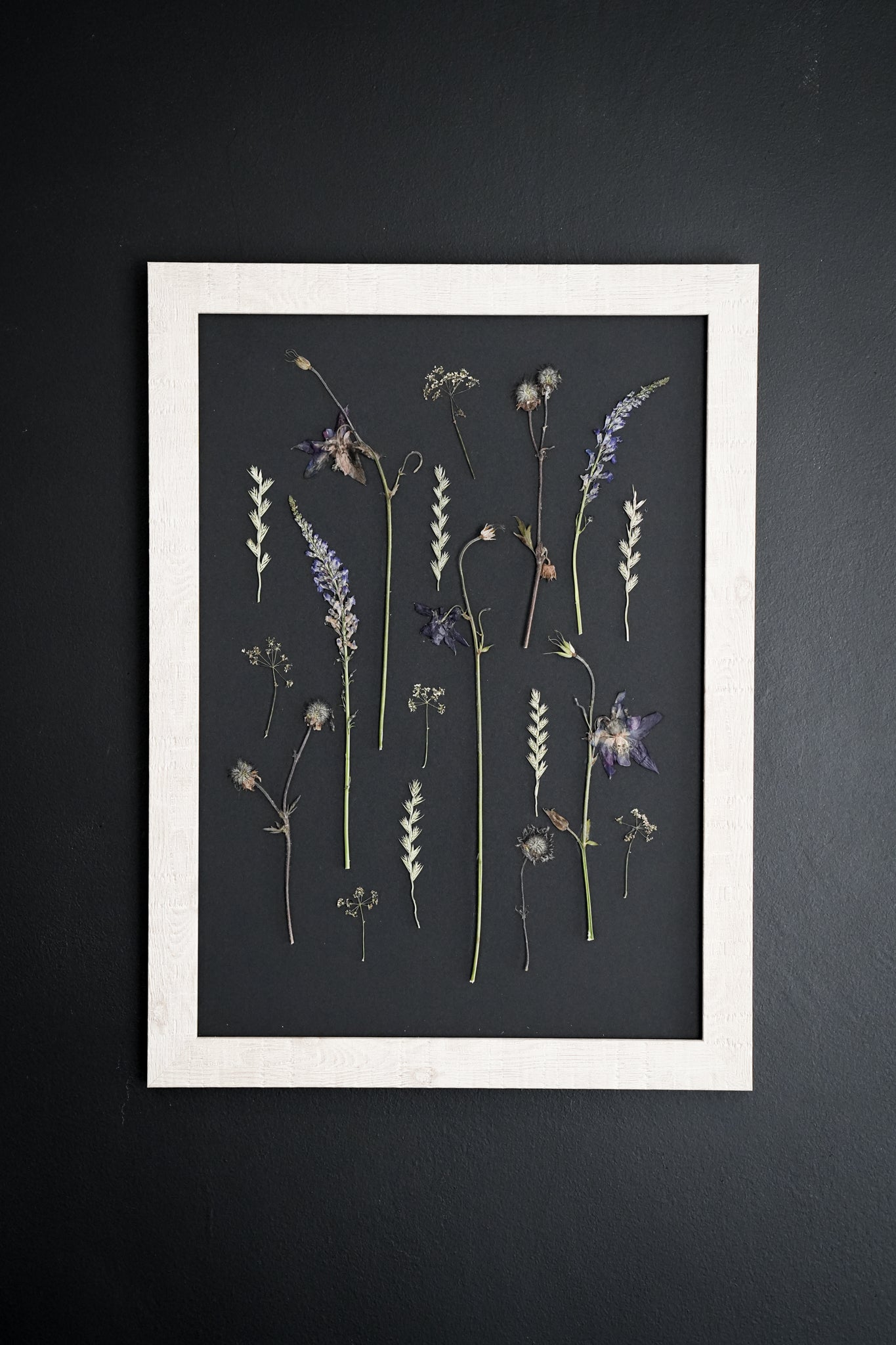 Nightfall Archive – Framed A3 Black Giclée Pressed Flower Print