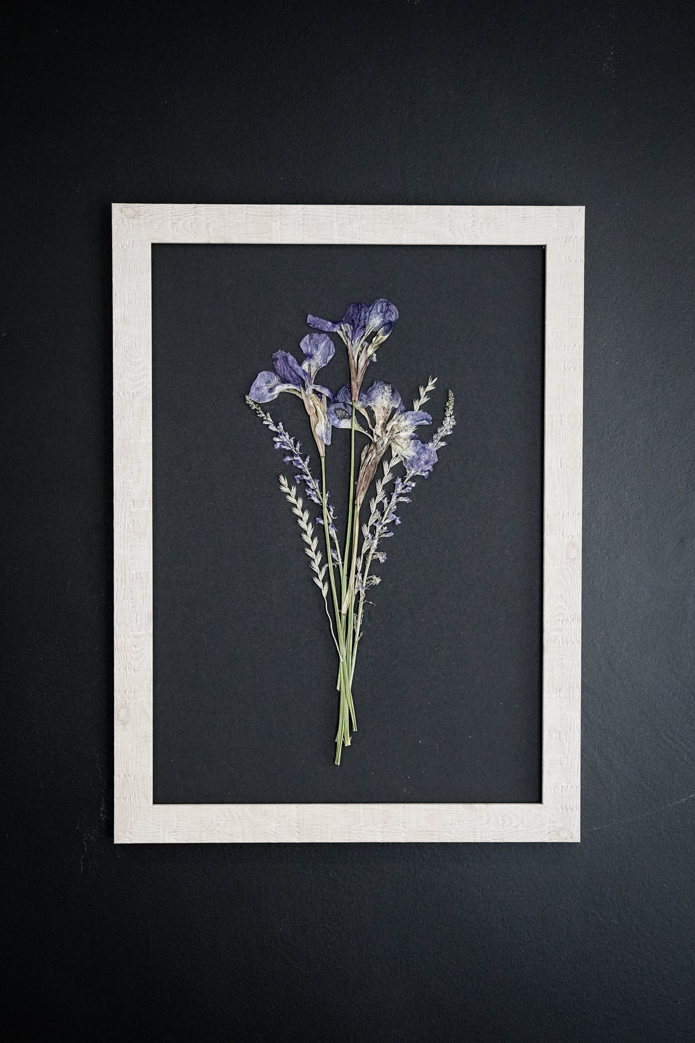 Twilight Iris – Framed A3 Black Pressed Flower Giclée Print