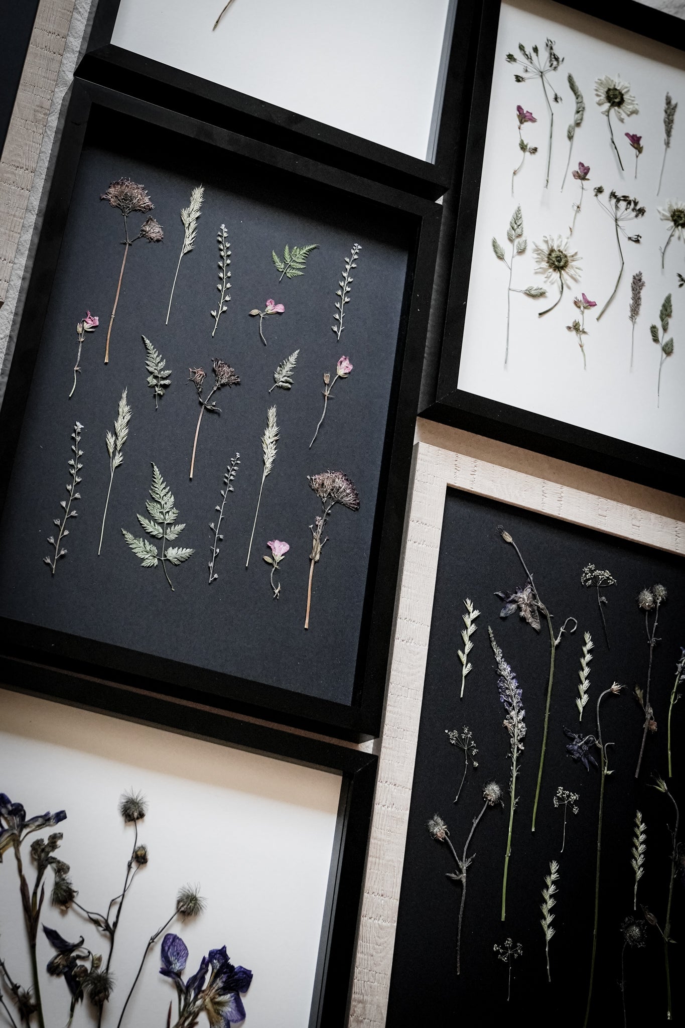 Pressed Meadow – Large Pressed Flower Frame