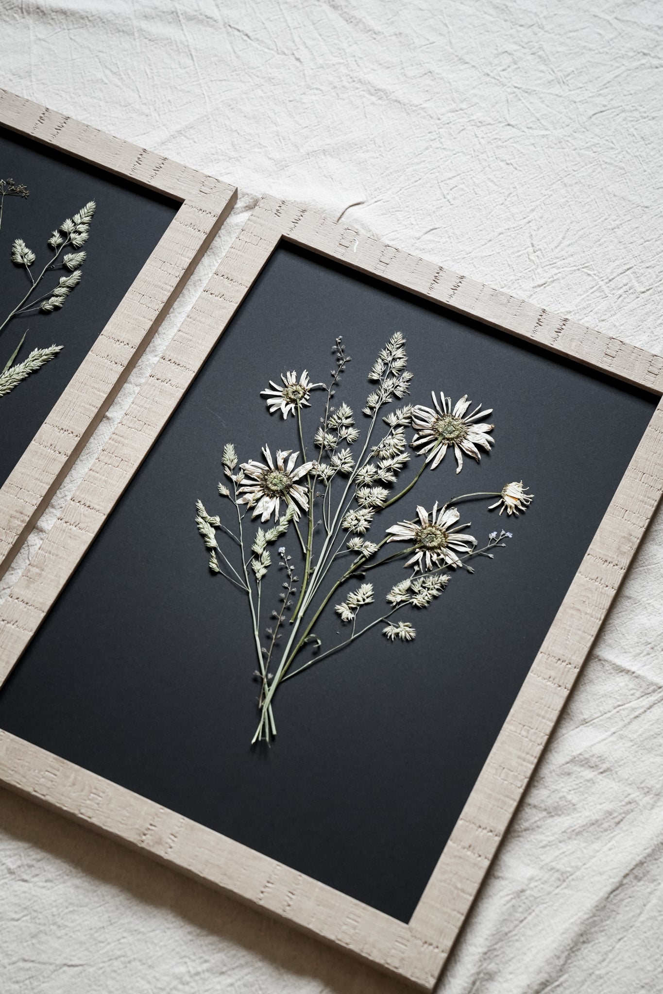 Golden Hour  – Large Pressed Flower Frame
