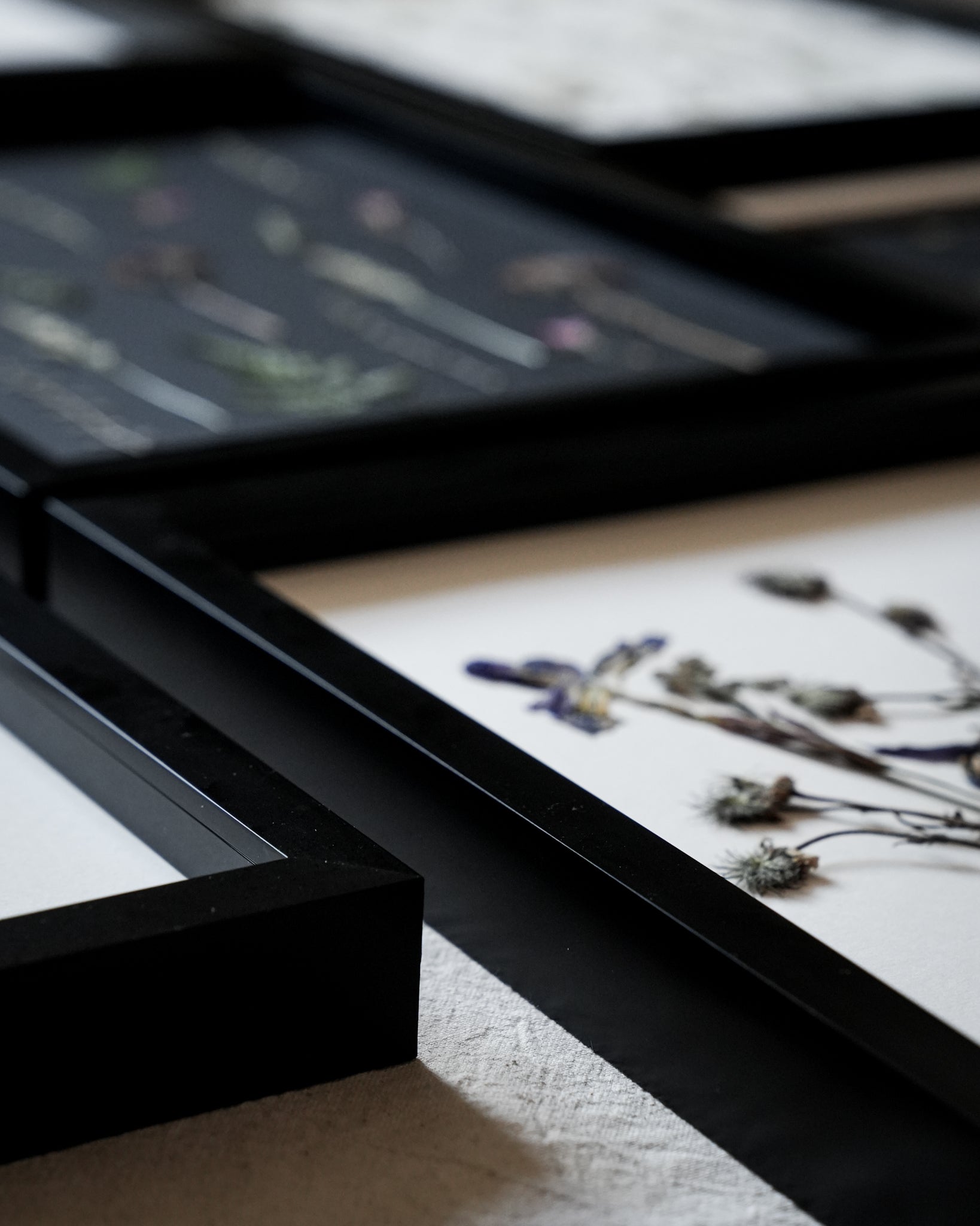 Wild Fade – Large Pressed Flower Frame