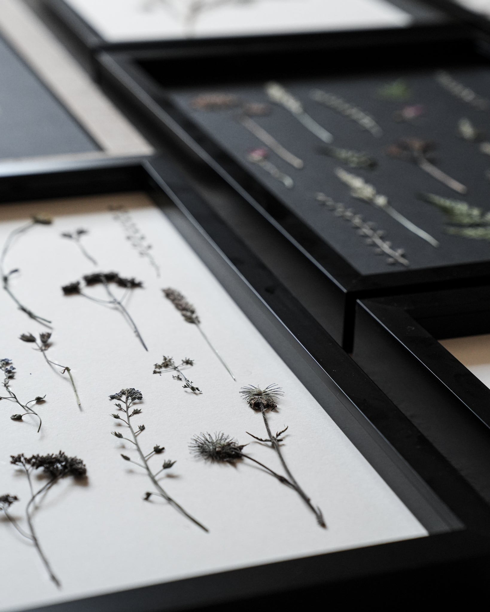 Field Notes – Large Pressed Flower Frame