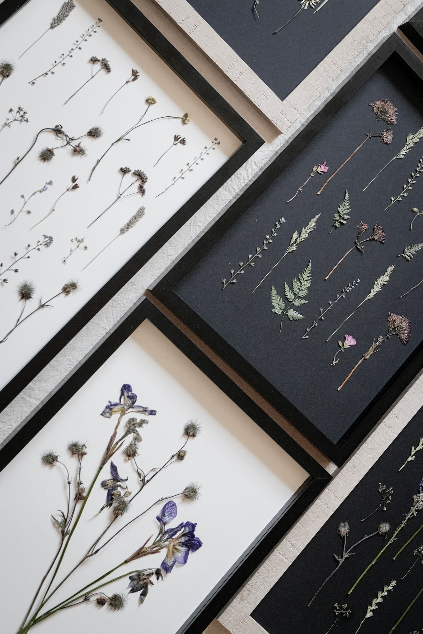 Wild Fade – Large Pressed Flower Frame
