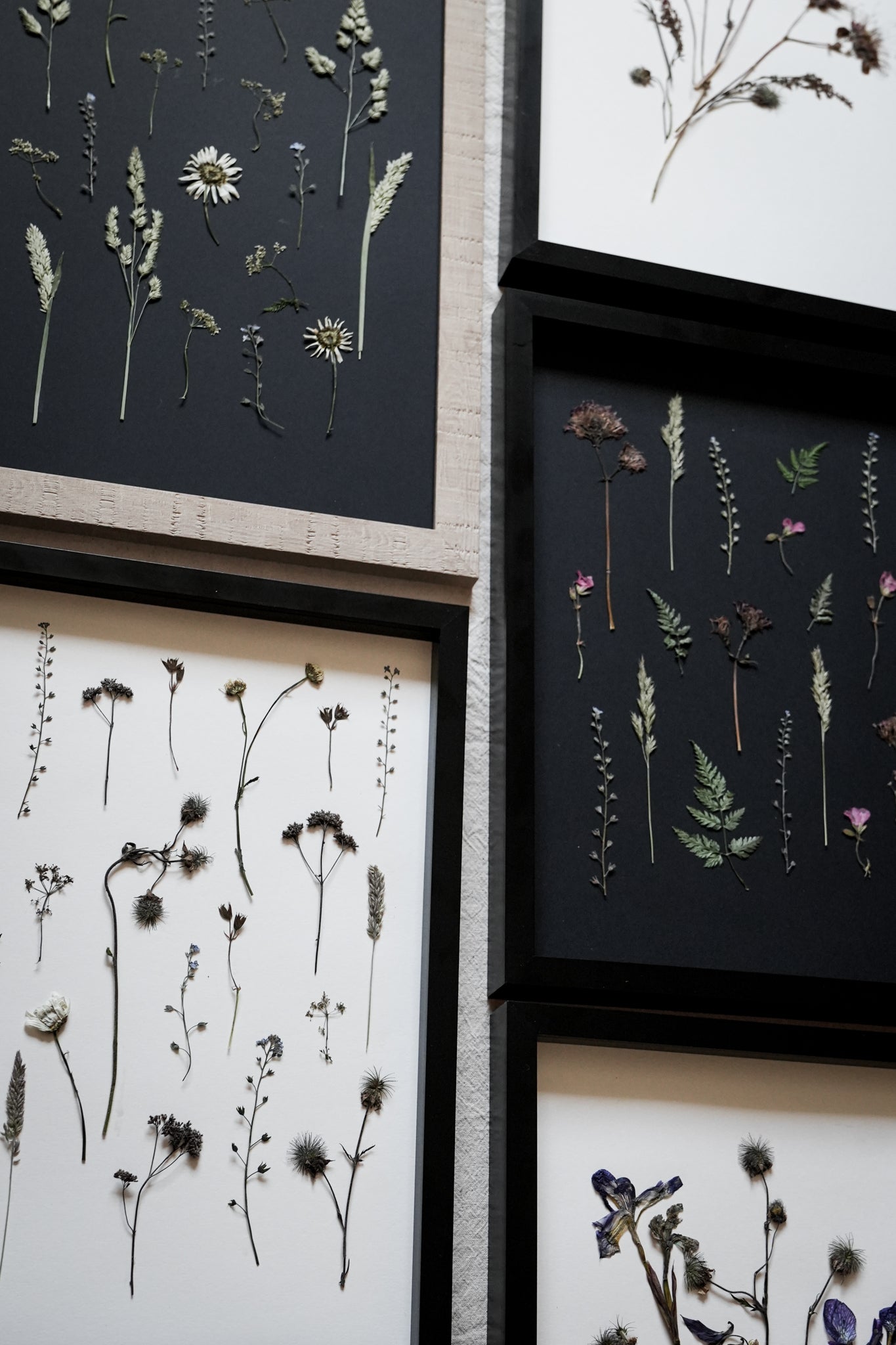 Golden Hour  – Large Pressed Flower Frame