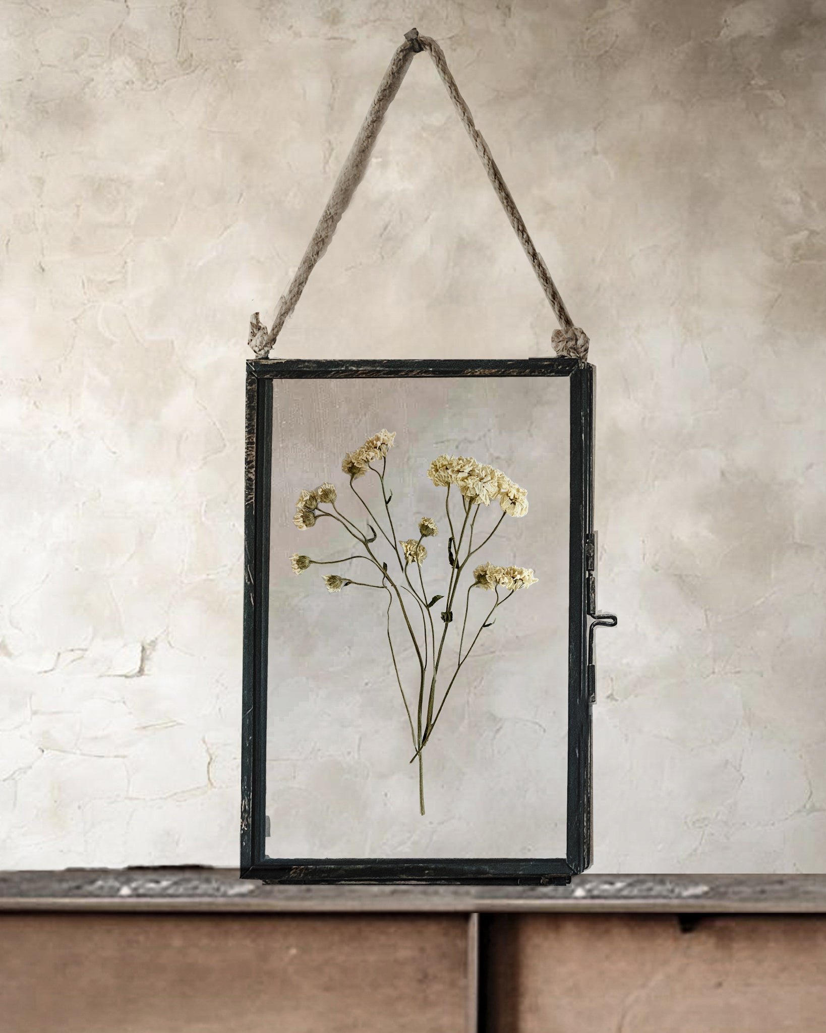 Black Antique Pressed Flower Frame: Dried Vintage White Tansy - Small