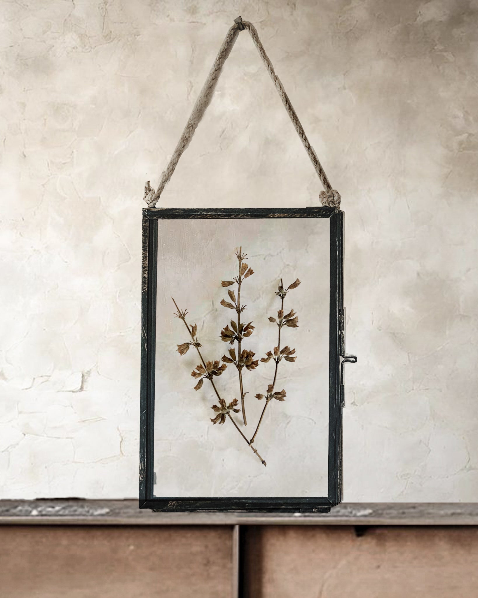 Black Antique Pressed Flower Frame: Dried Branches - Small