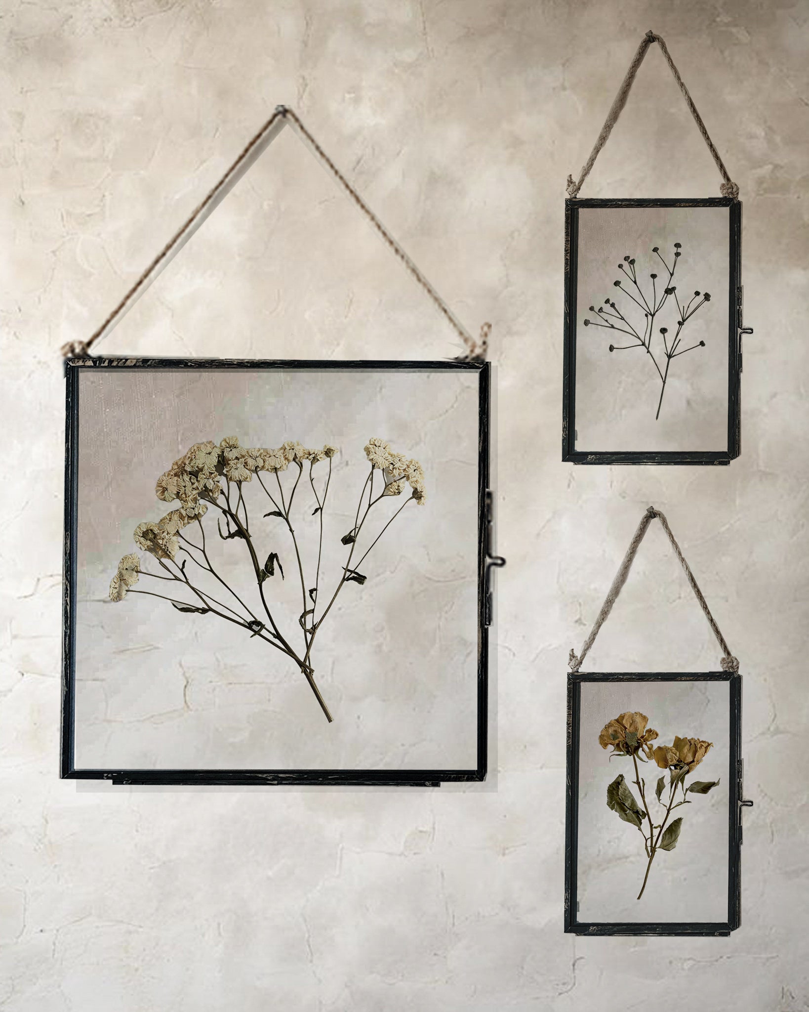 Black Antique Pressed Flower Frame: Dried Vintage Grey Massasa - Small