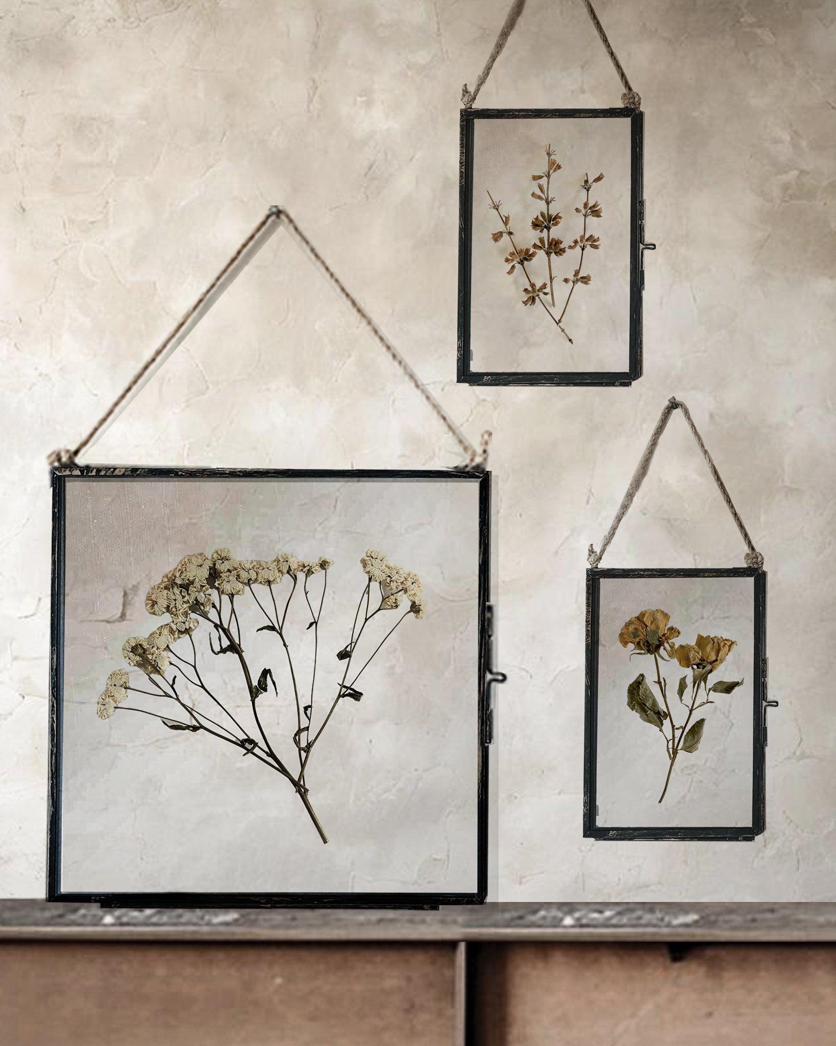 Black Antique Pressed Flower Frame: Dried Branches - Small