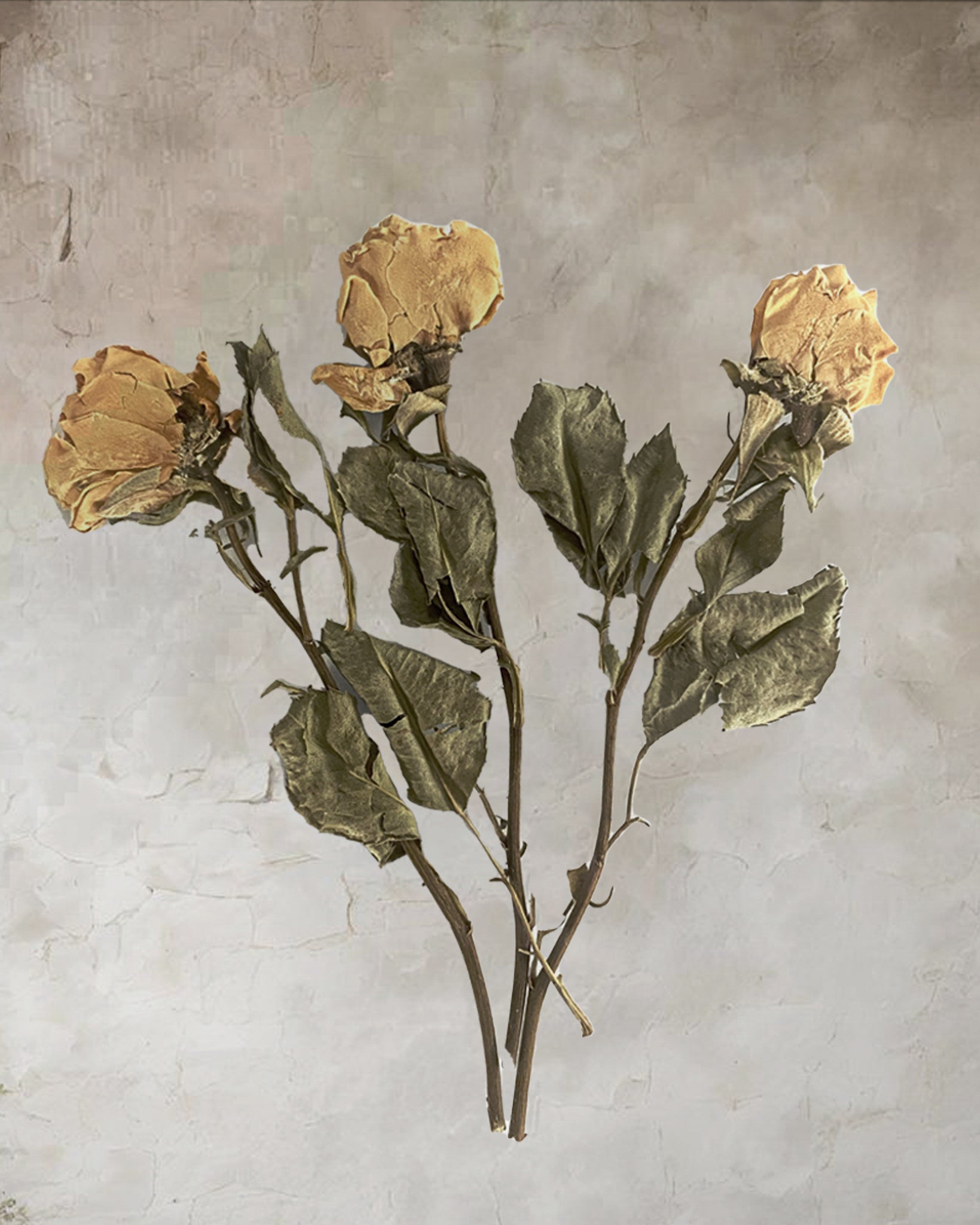 Set Of Three Pressed Flower Frames - Vintage Roses & Tansy