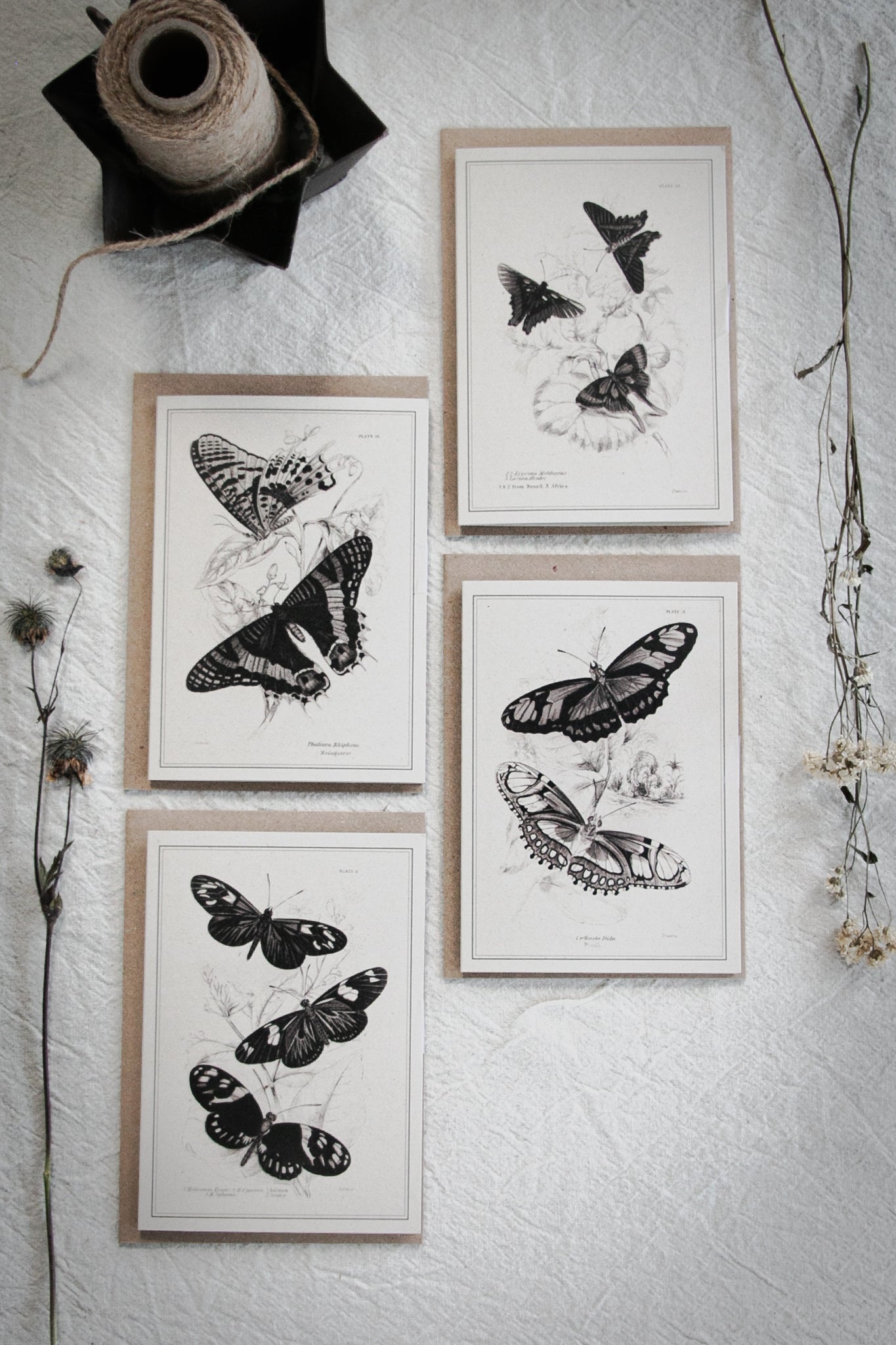 Set of 4 Vintage Butterfly Monochrome Greeting Cards – A6 Blank Cards with Kraft Envelopes