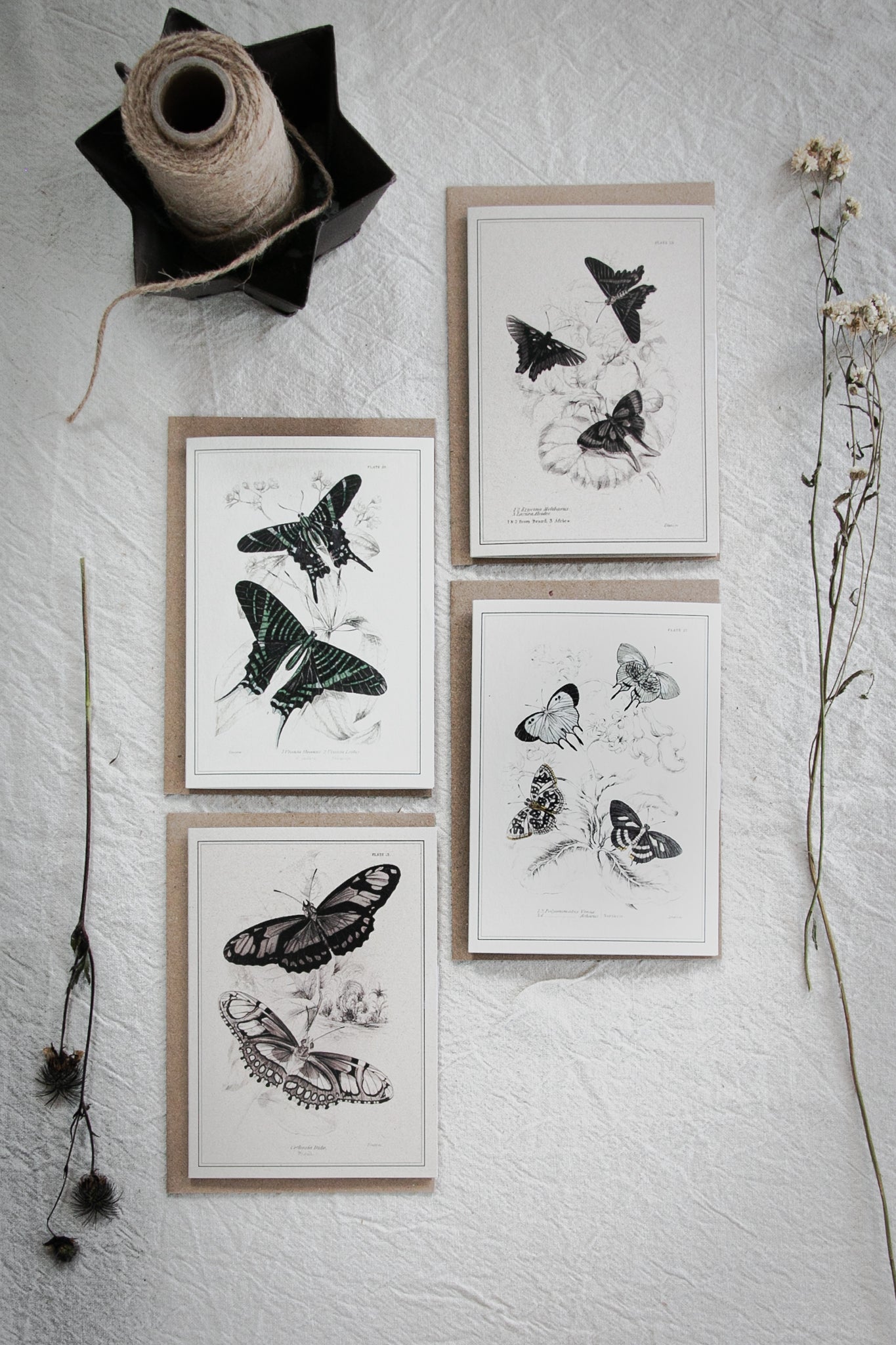 Mixed Set of 4 Vintage Butterfly Greeting Cards – A6 Blank Cards with Kraft Envelopes 02